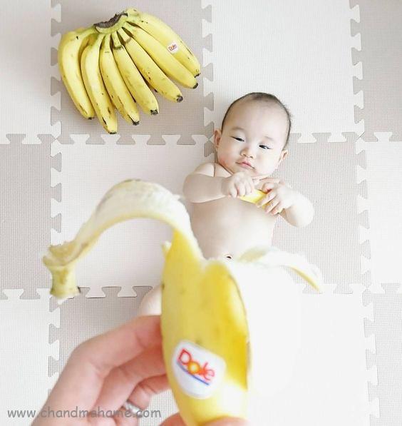 تم عکاسی میوه ای برای نوزادان - چندماهمه