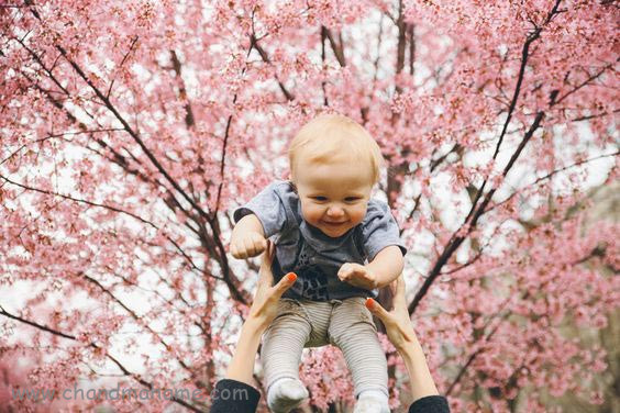 ایده عکاسی از نوزاد در فضای باز و بهار - چندماهمه