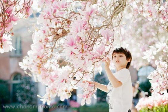ژست عکاسی تک نفره از کودک در فضای باز و بهار - چندماهمه