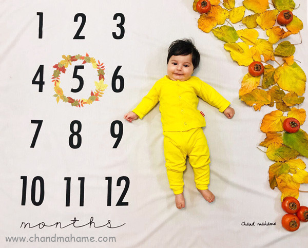 8 تم پاییزی برای عکاسی از نوزاد