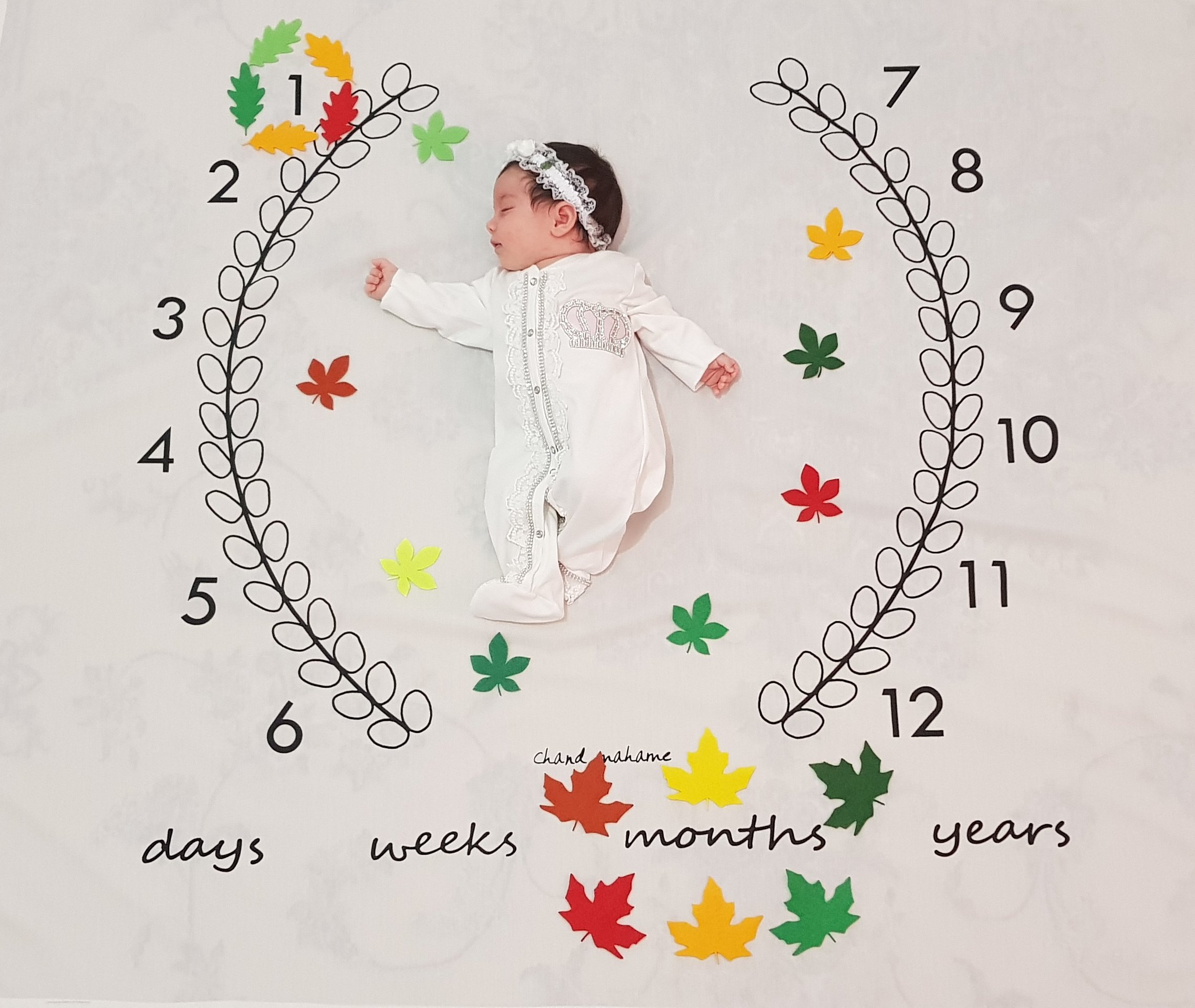 یک ماهگی نوزاد ترمه امینی