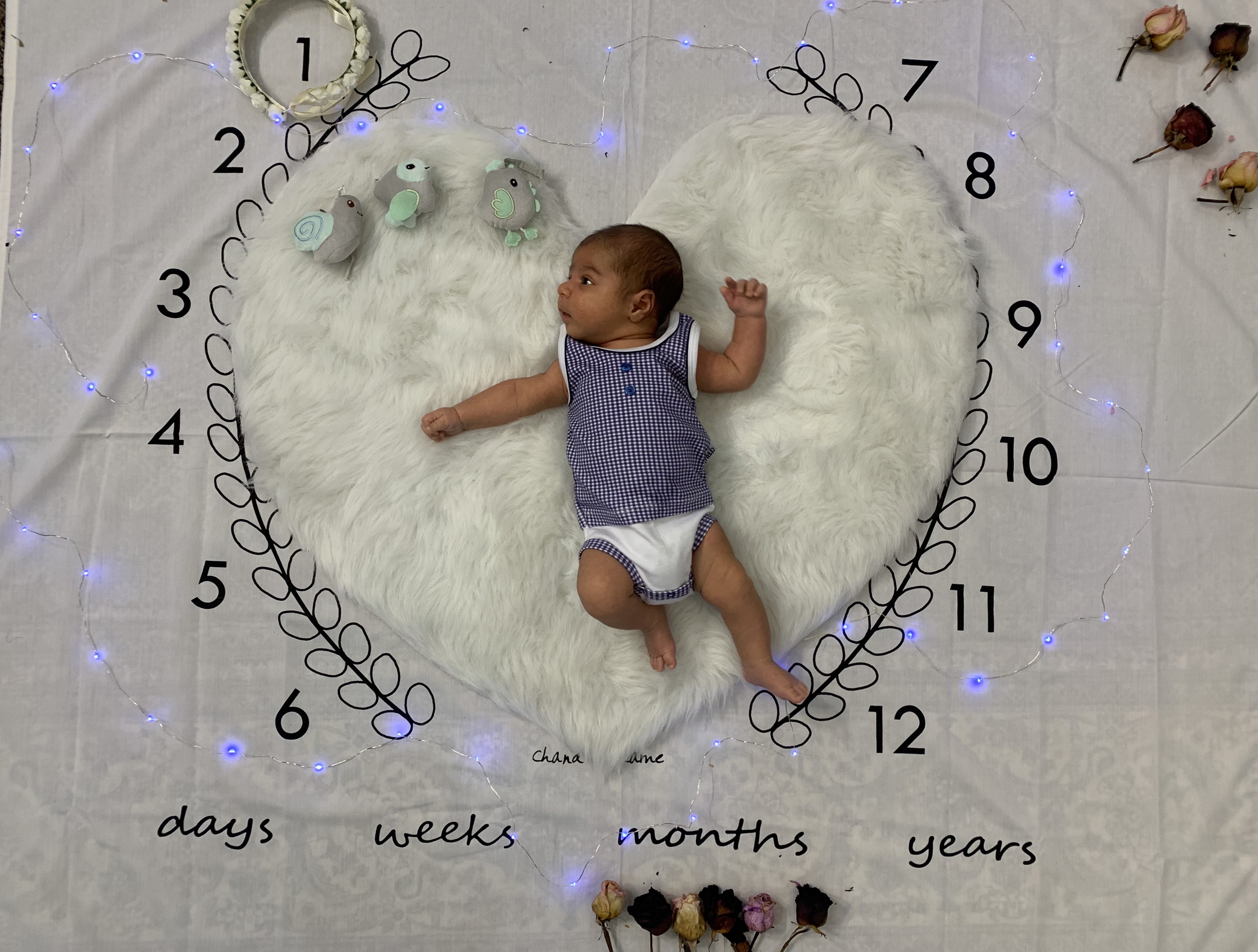 یک ماهگی نوزاد مهرسام پارسایی راد