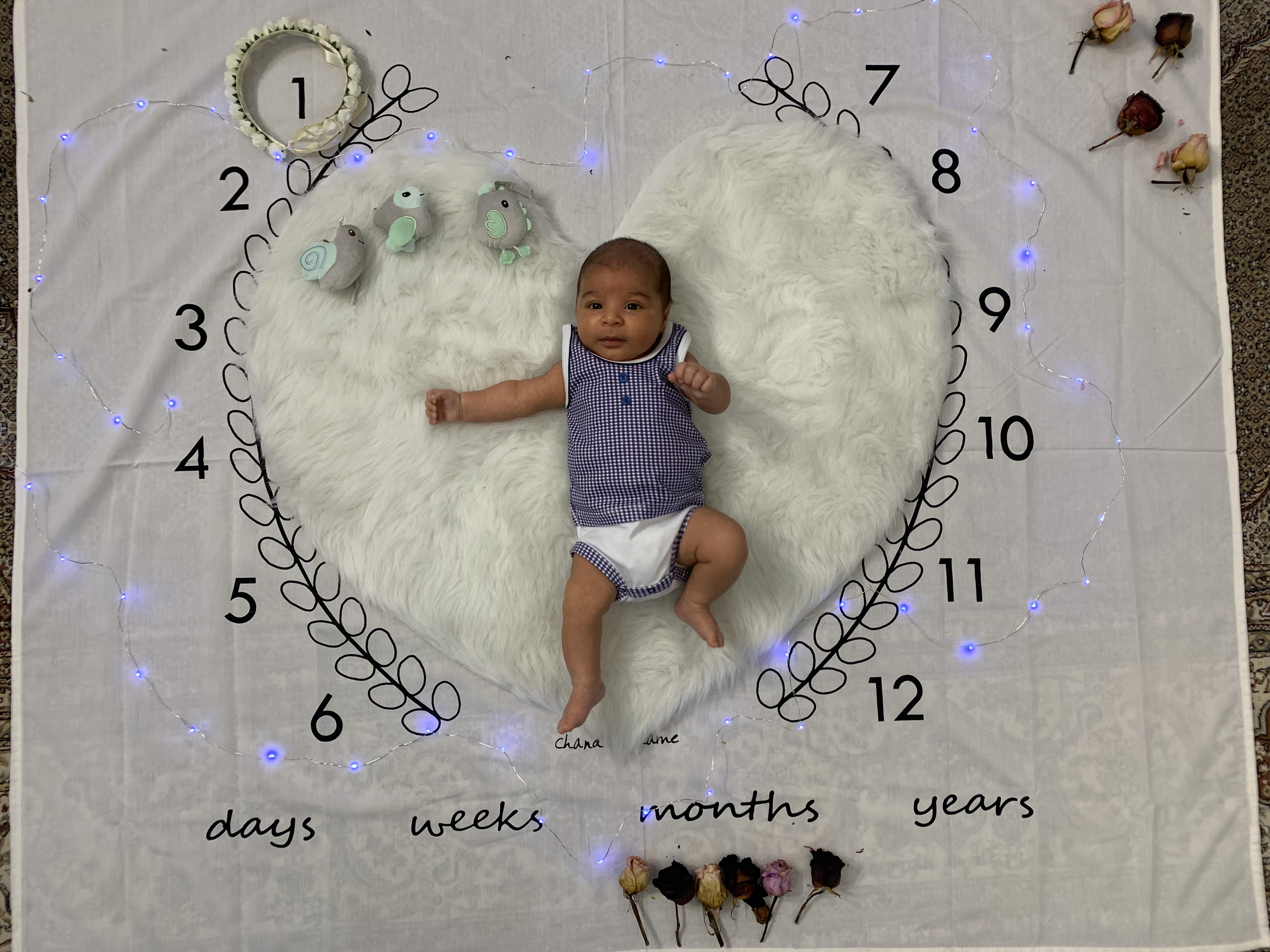 ماه اول مهرسام پارسایی راد