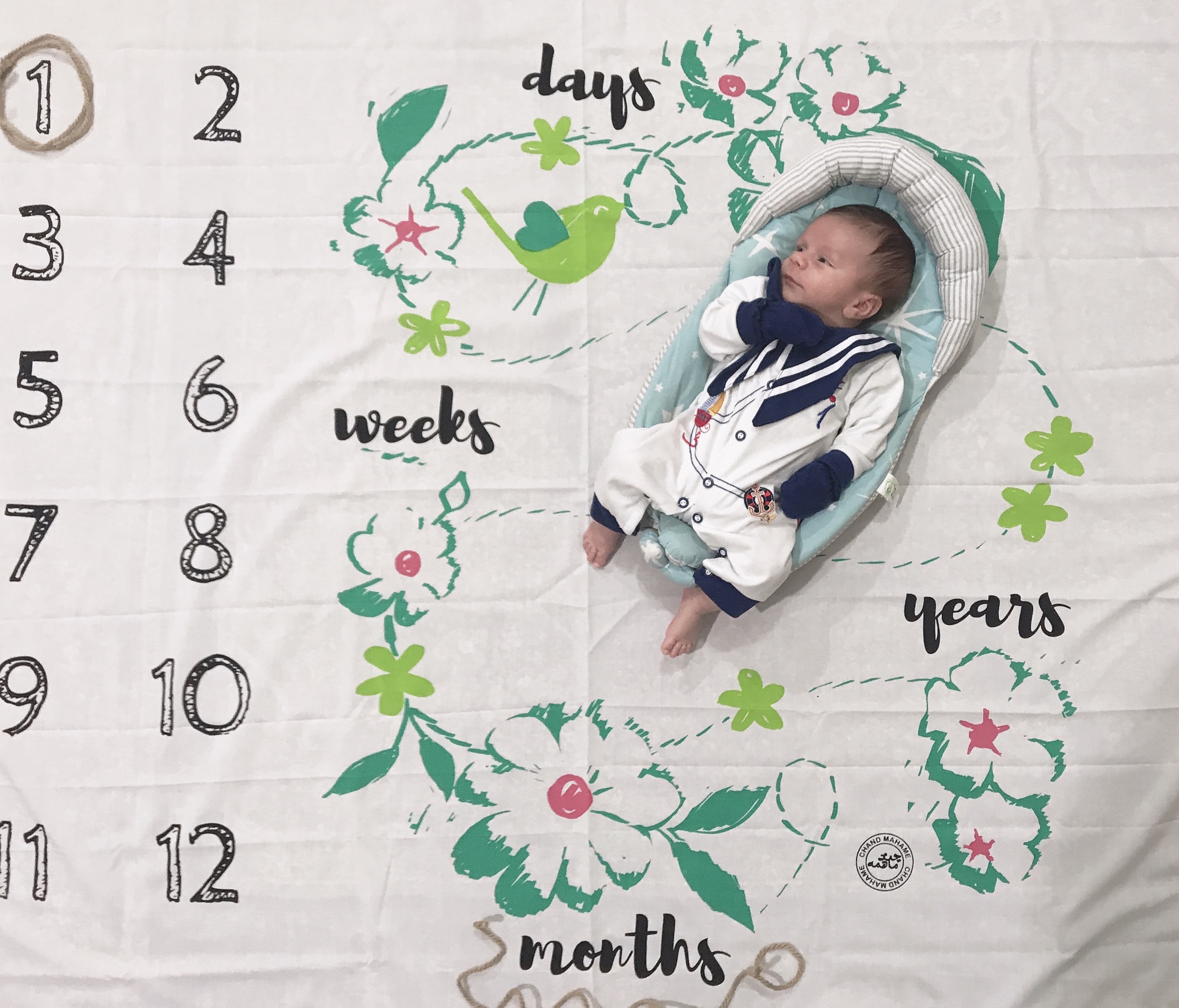 ماه اول دایان