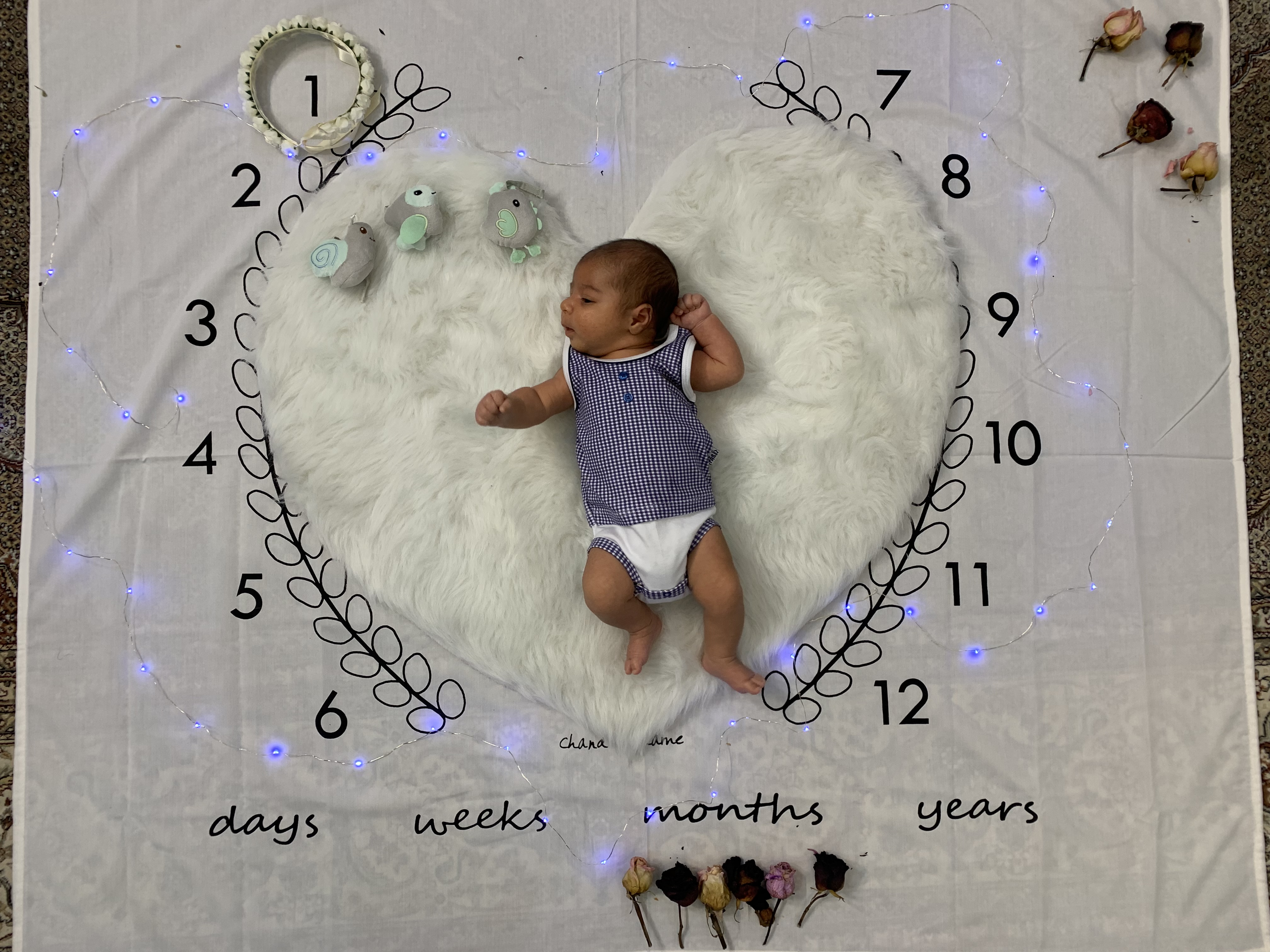 یک ماهگی نوزاد مهرسام پارسایی راد