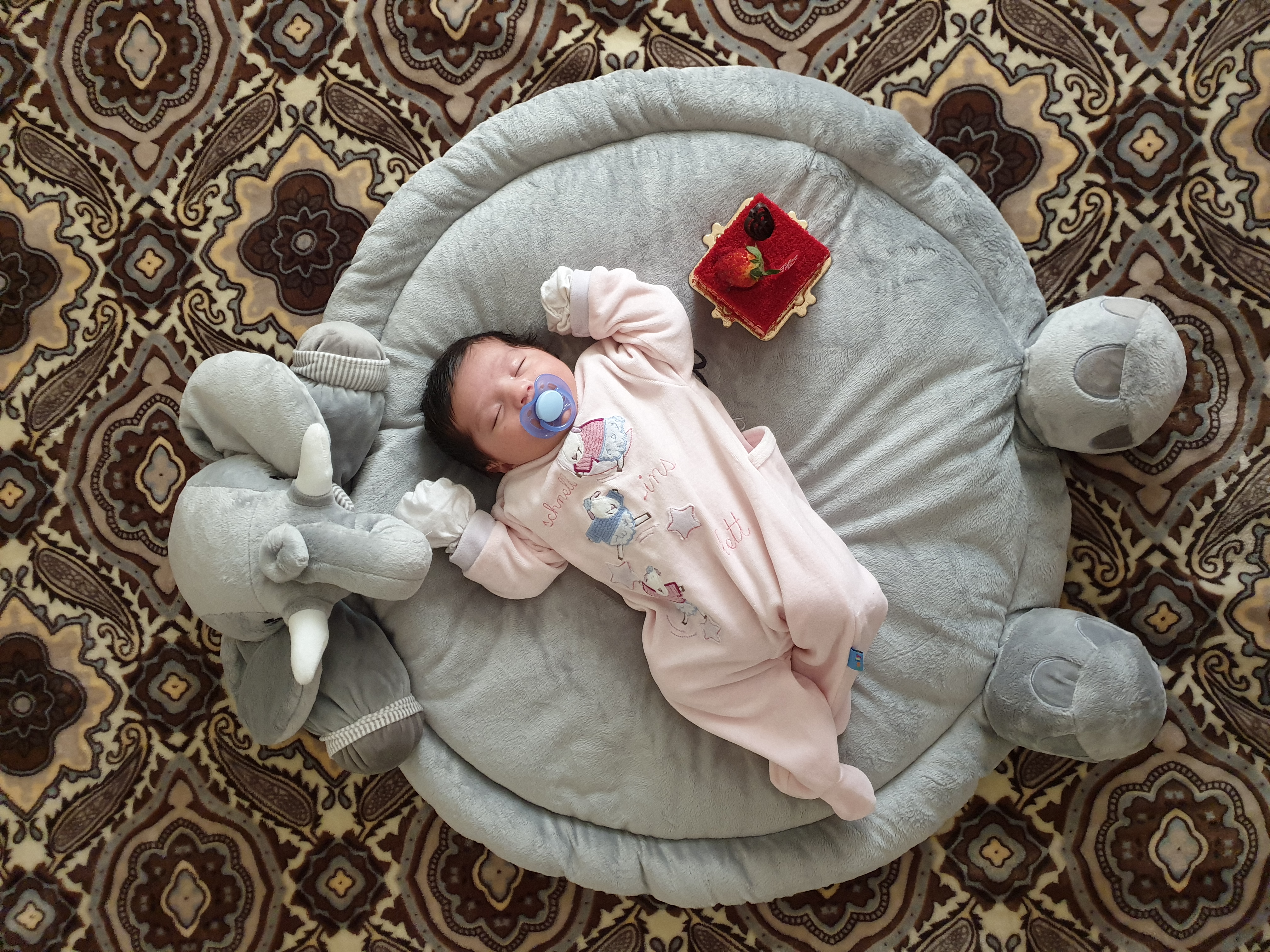 یک ماهگی نوزاد لیام پانیره