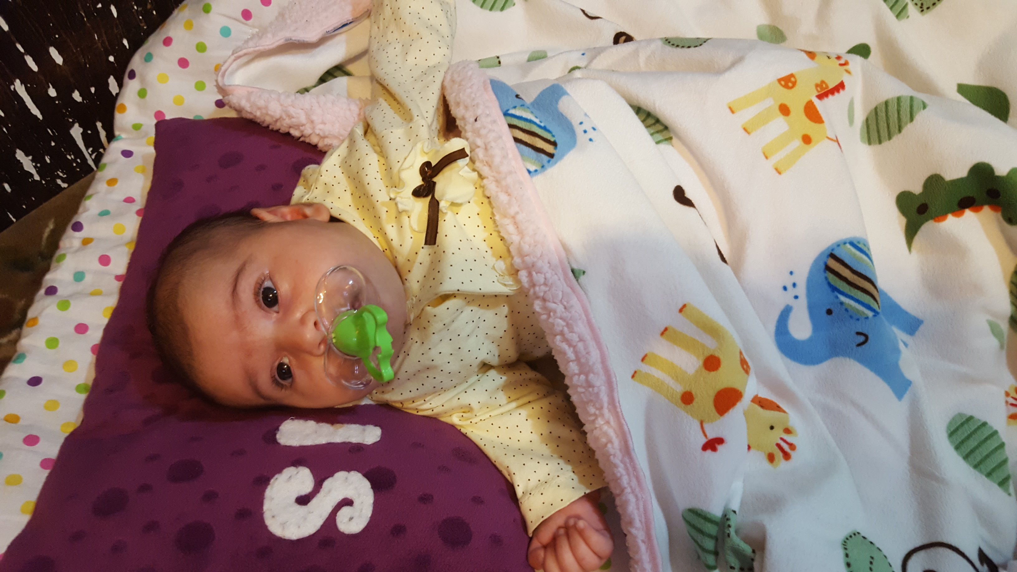 یک ماهگی نوزاد .مهدیس زندخوان