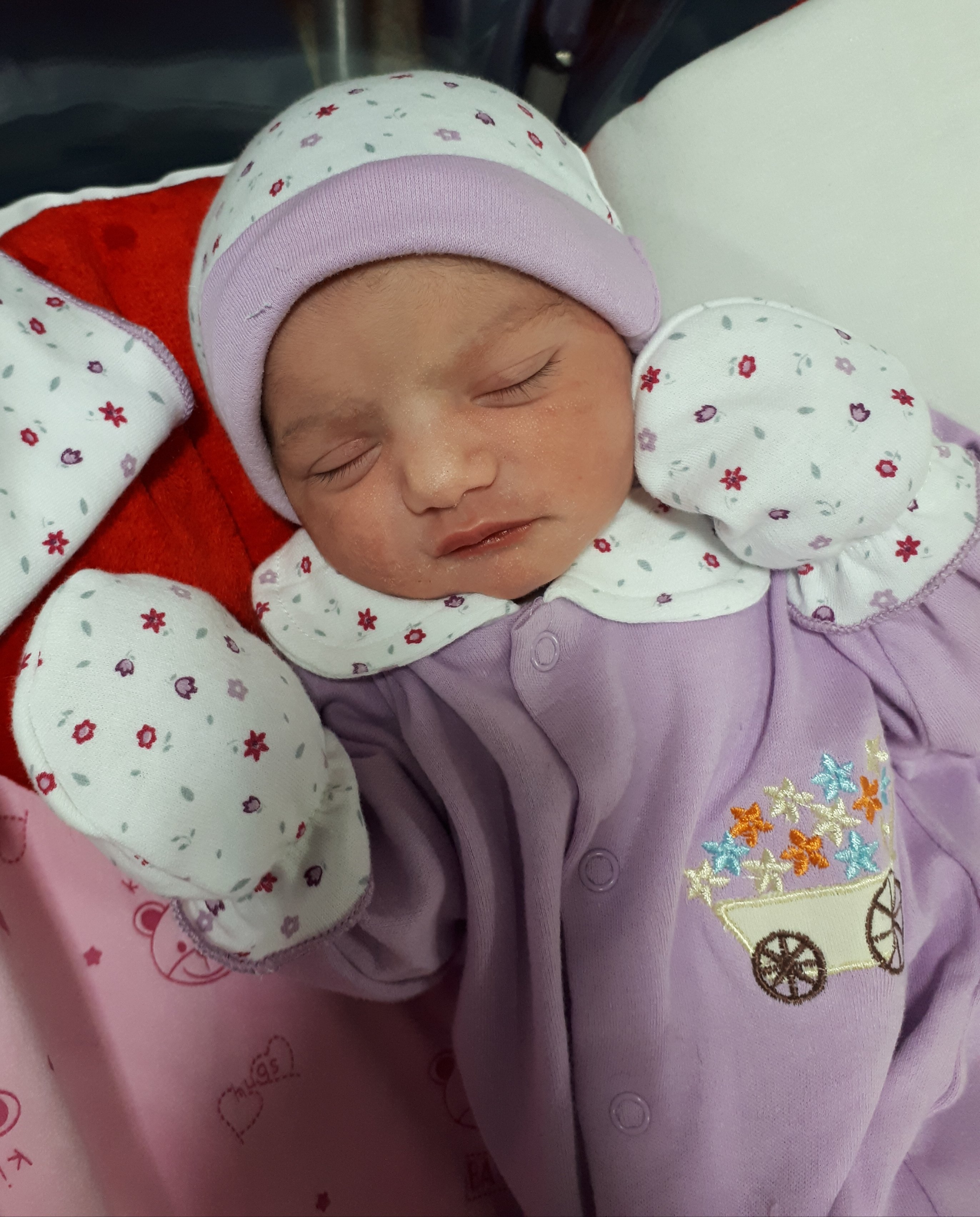 متولد شدن نوزاد ایلاف دیلمی