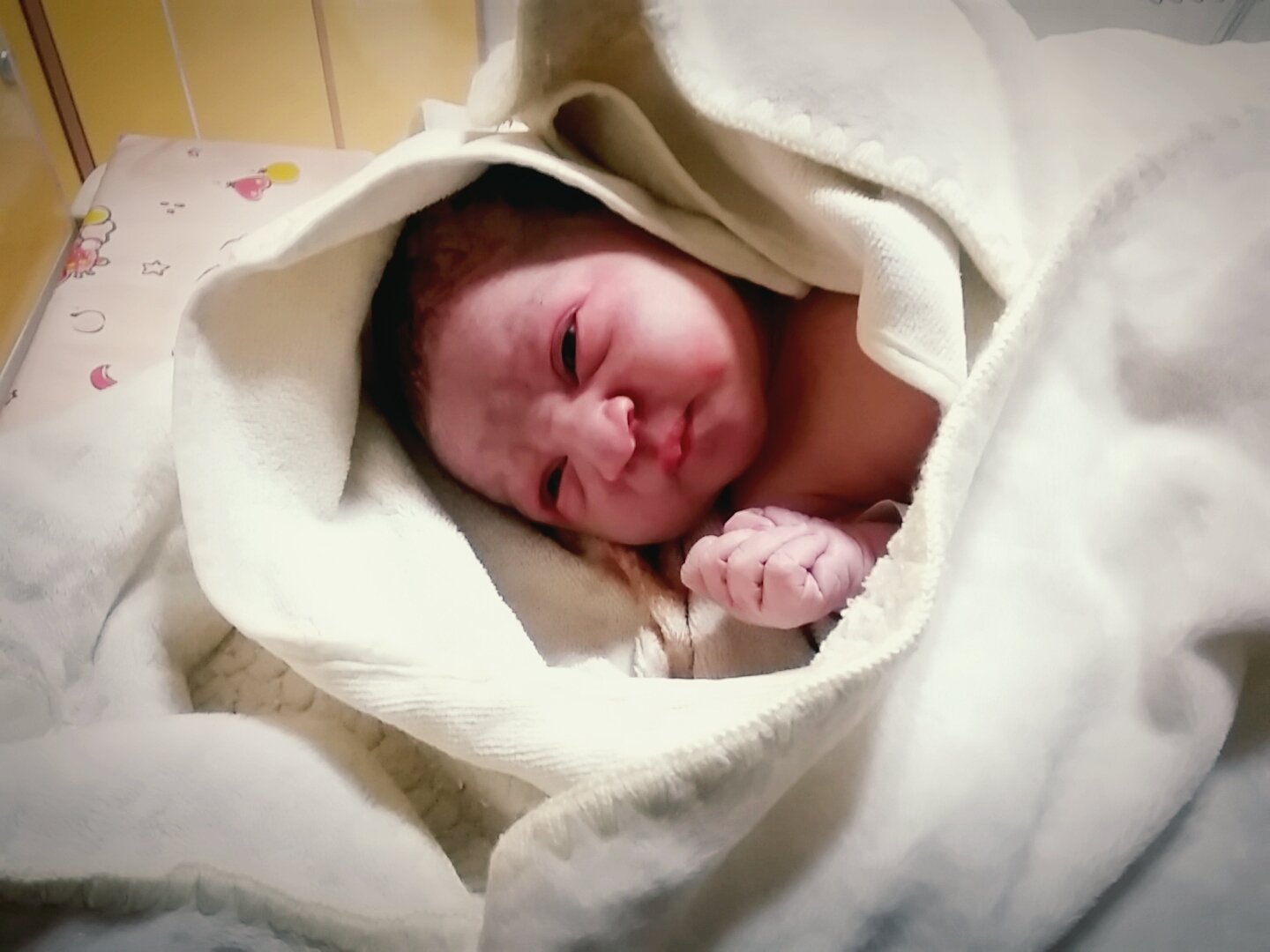 متولد شدن نوزاد آوین امیرفخریان