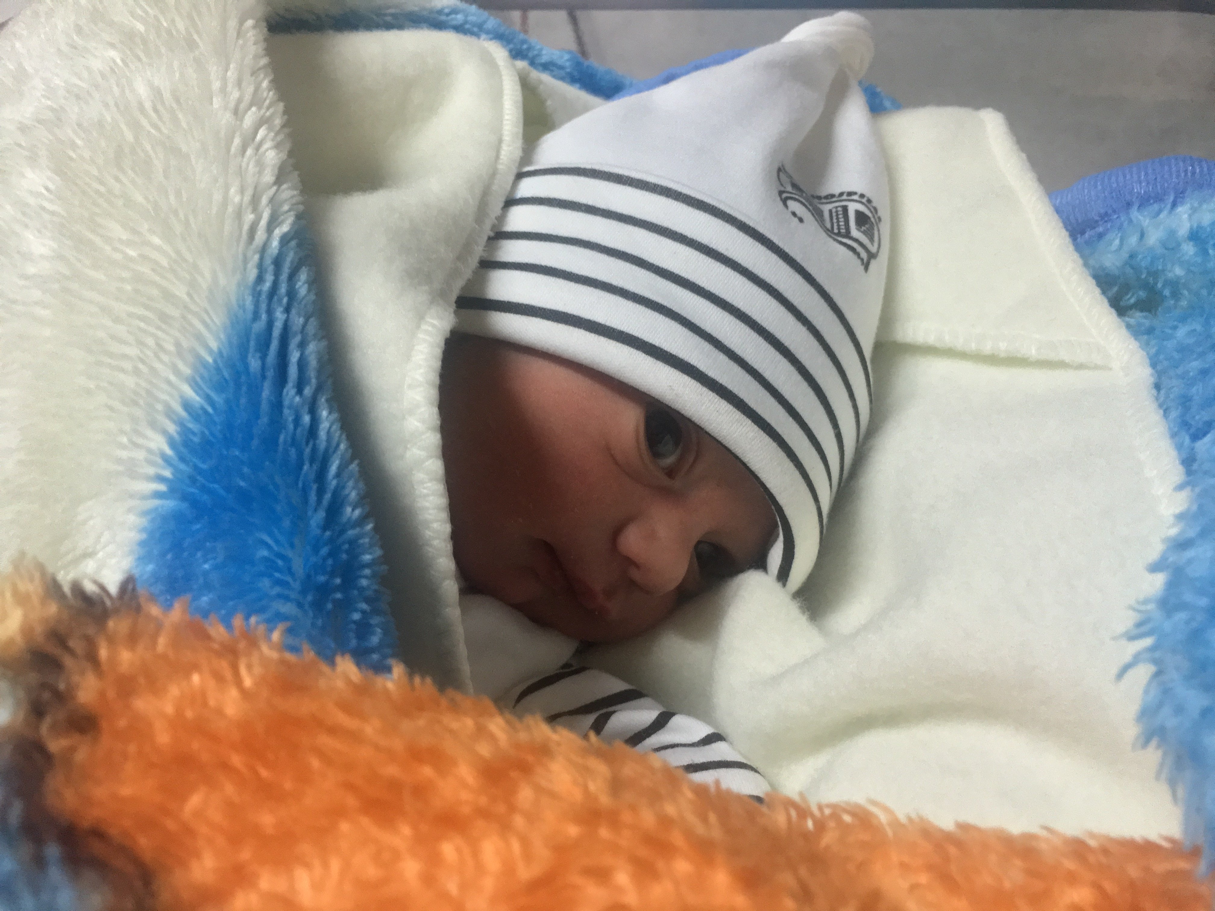 متولد شدن نوزاد سید محمد قریشی