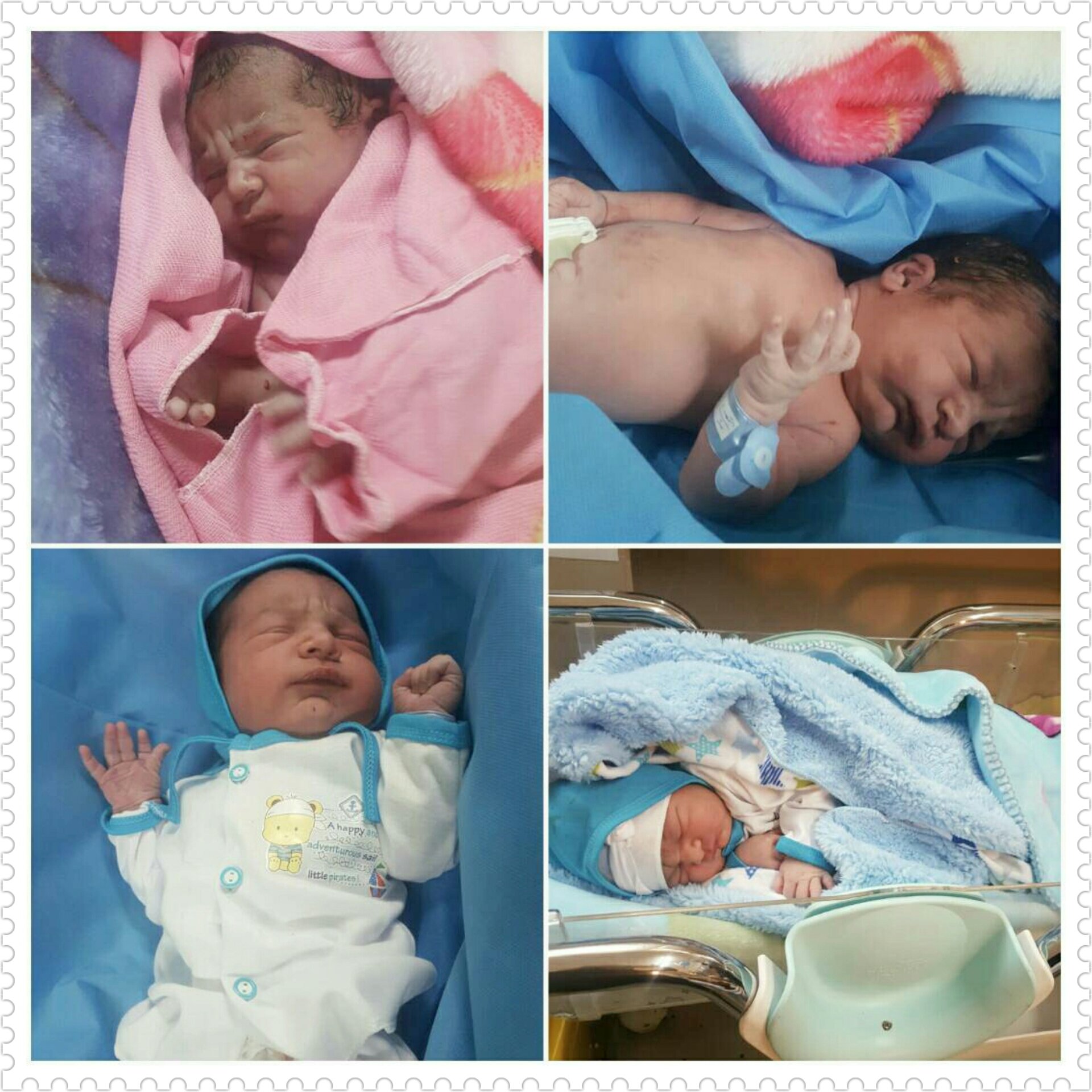 متولد شدن نوزاد رادین آذربخش