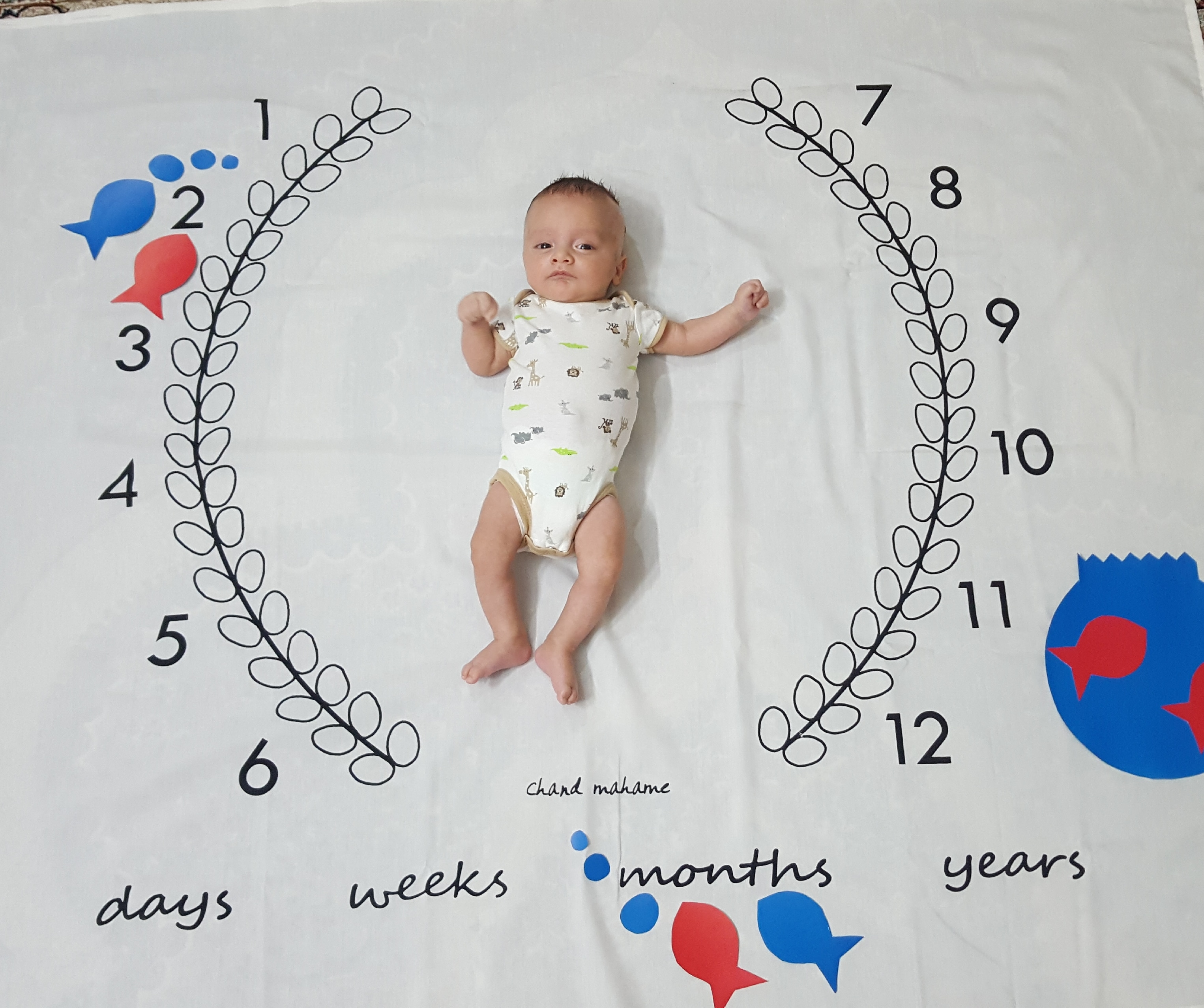 ماه دوم راستین درویشی