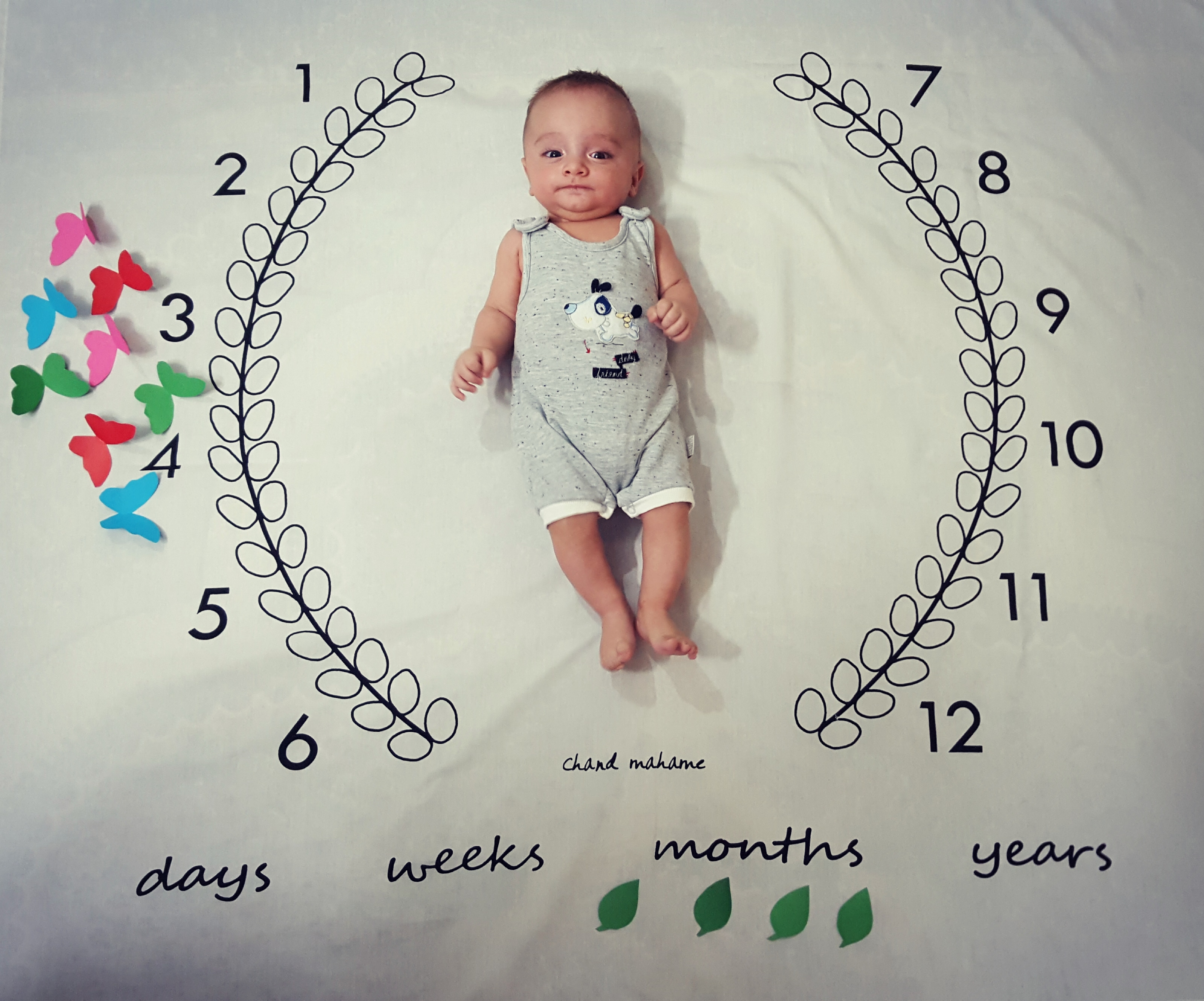 ماه چهارم راستین درویشی