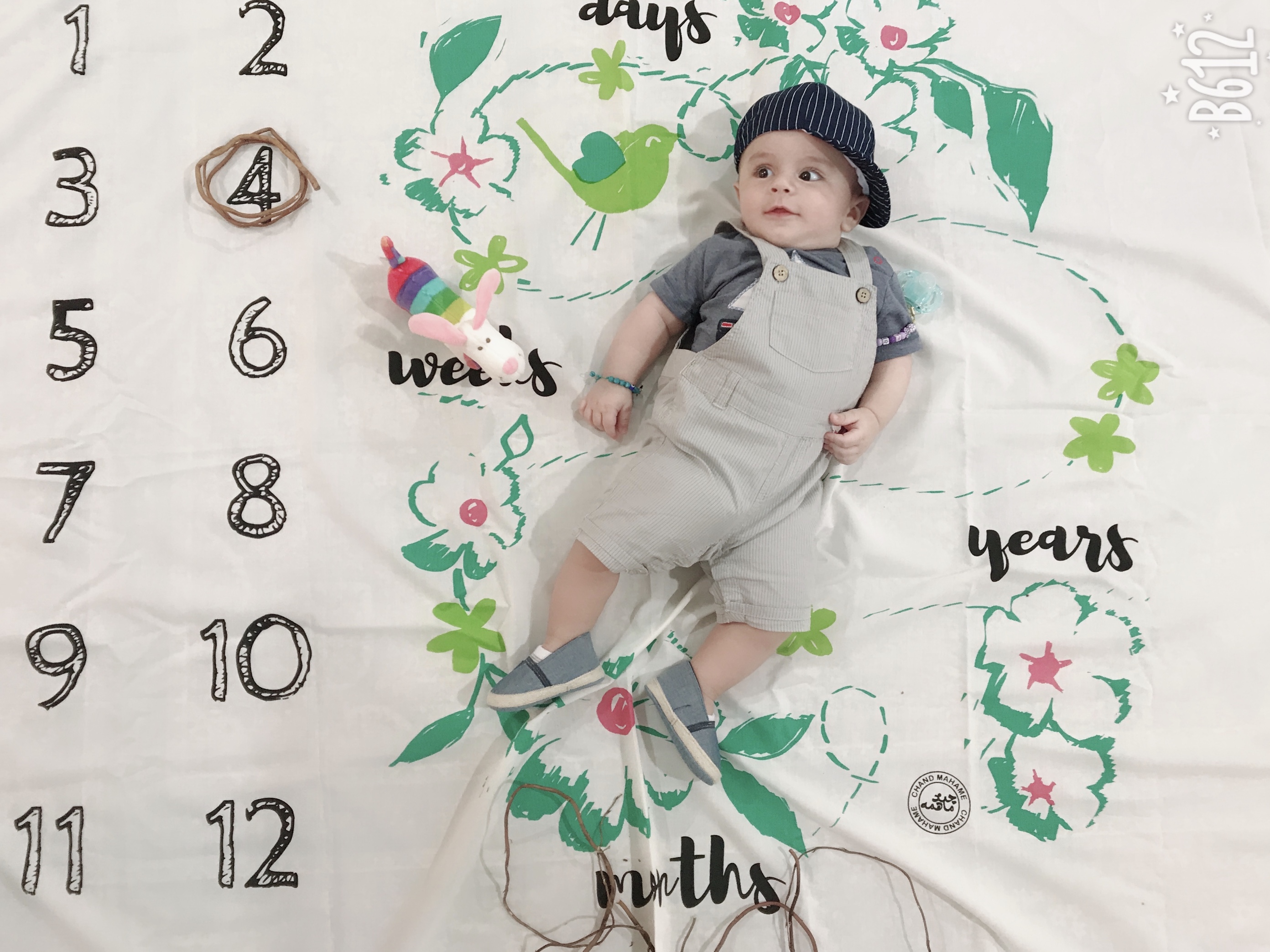 ماه چهارم دایان