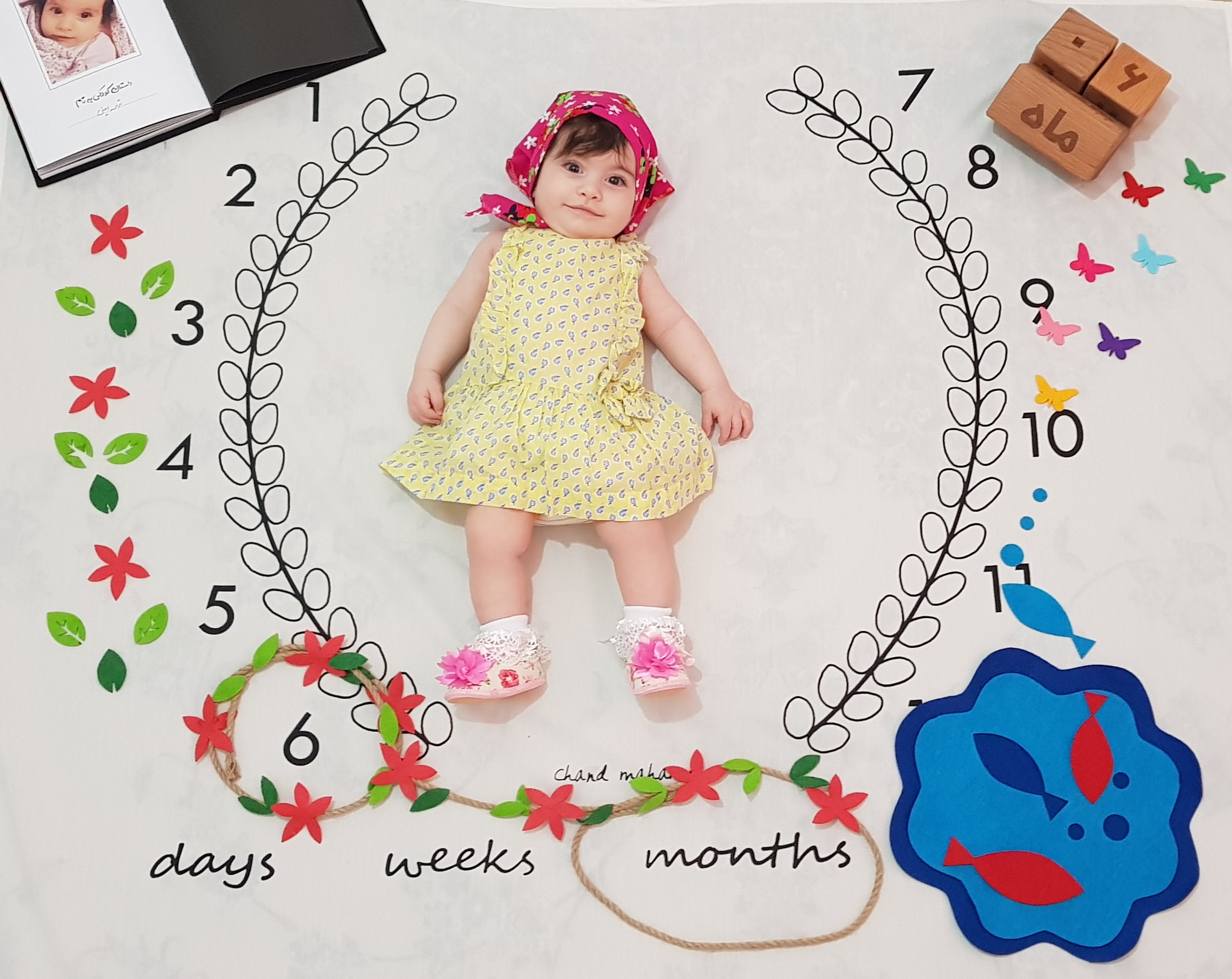 ماه ششم ترمه امینی