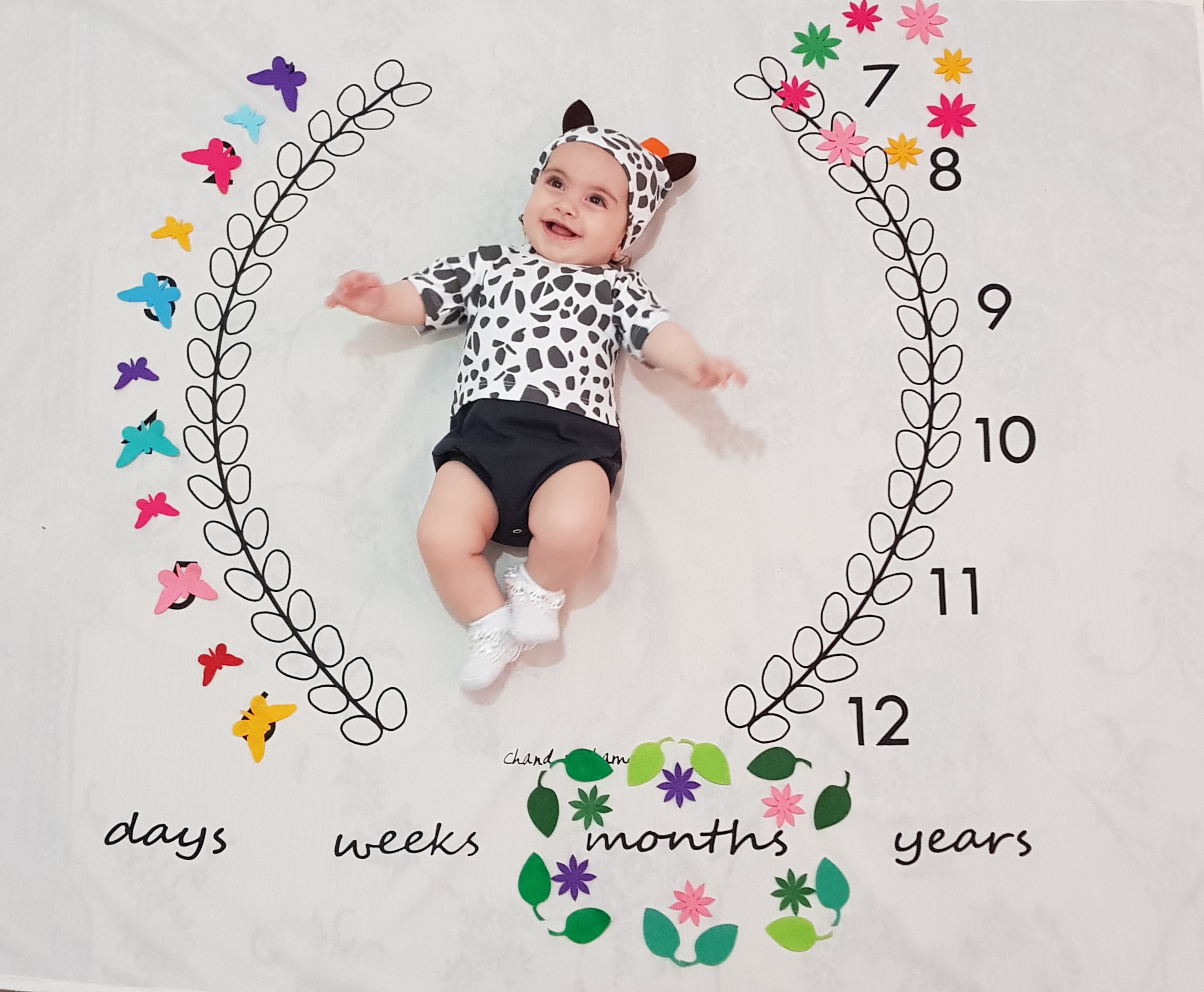 ماه هفتم ترمه امینی