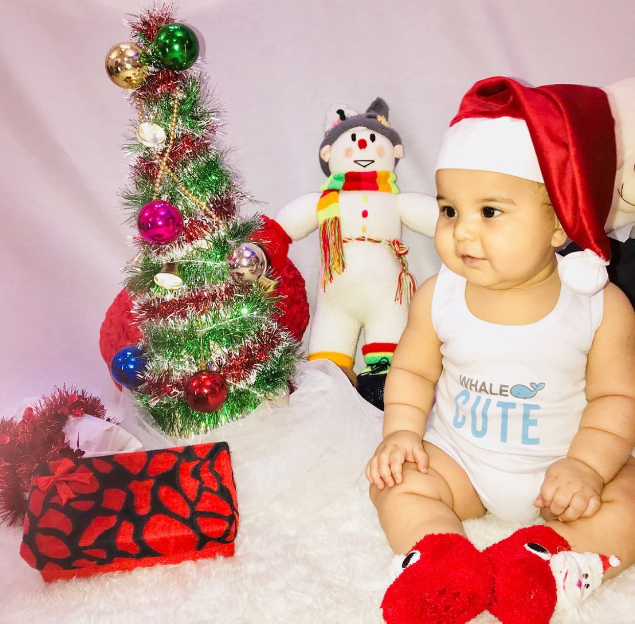 هشت ماهگی نوزاد امیرارسلان اصغری