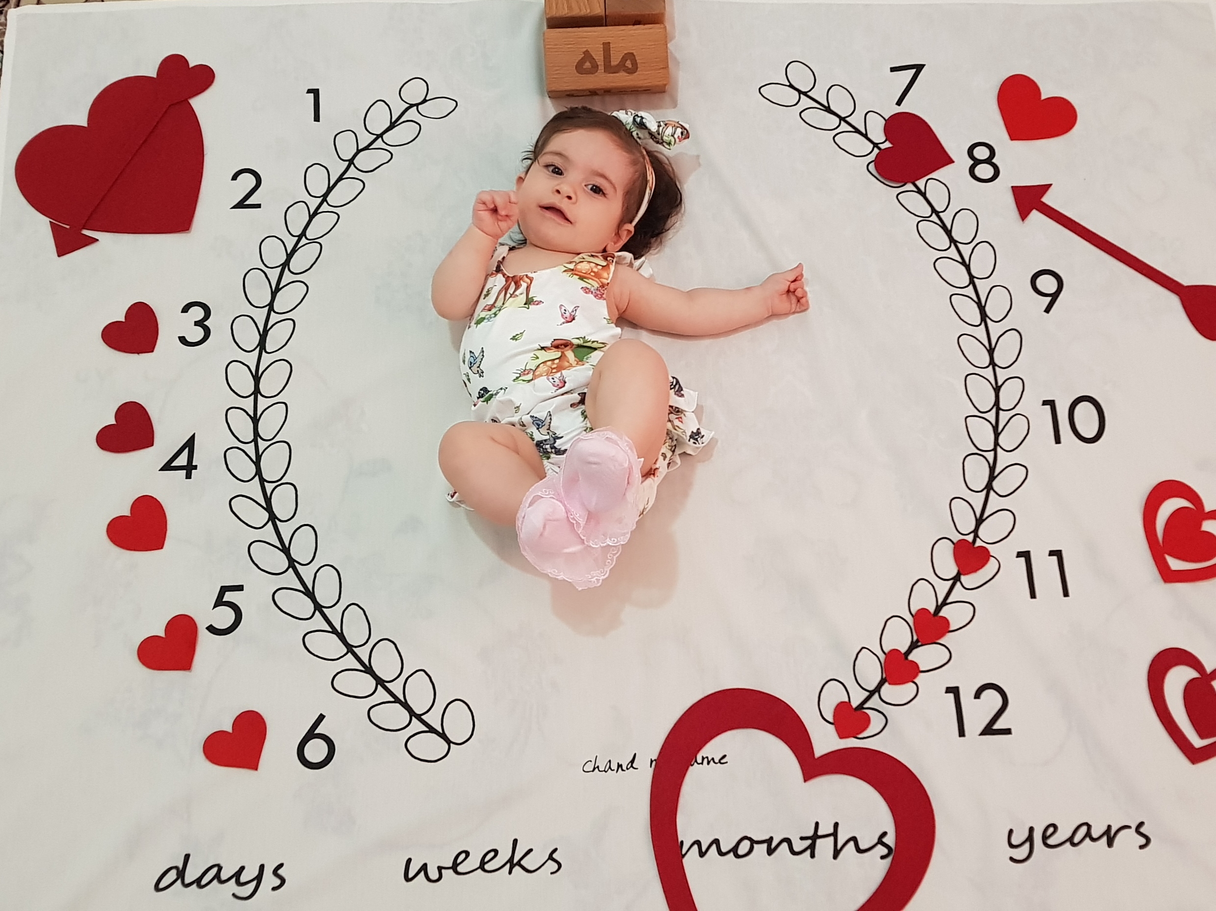 ماه هشتم ترمه امینی