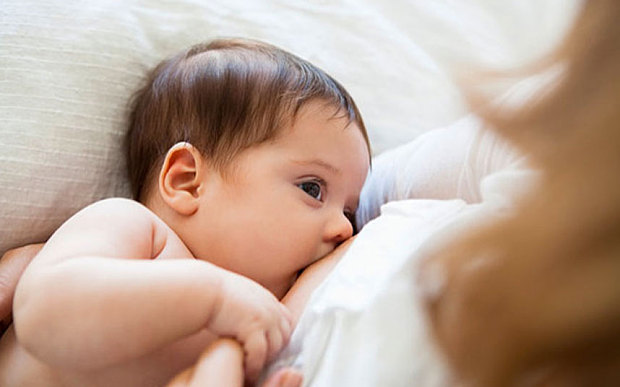 تصویر رشد نوزادی : مزه کردن و بوییدن