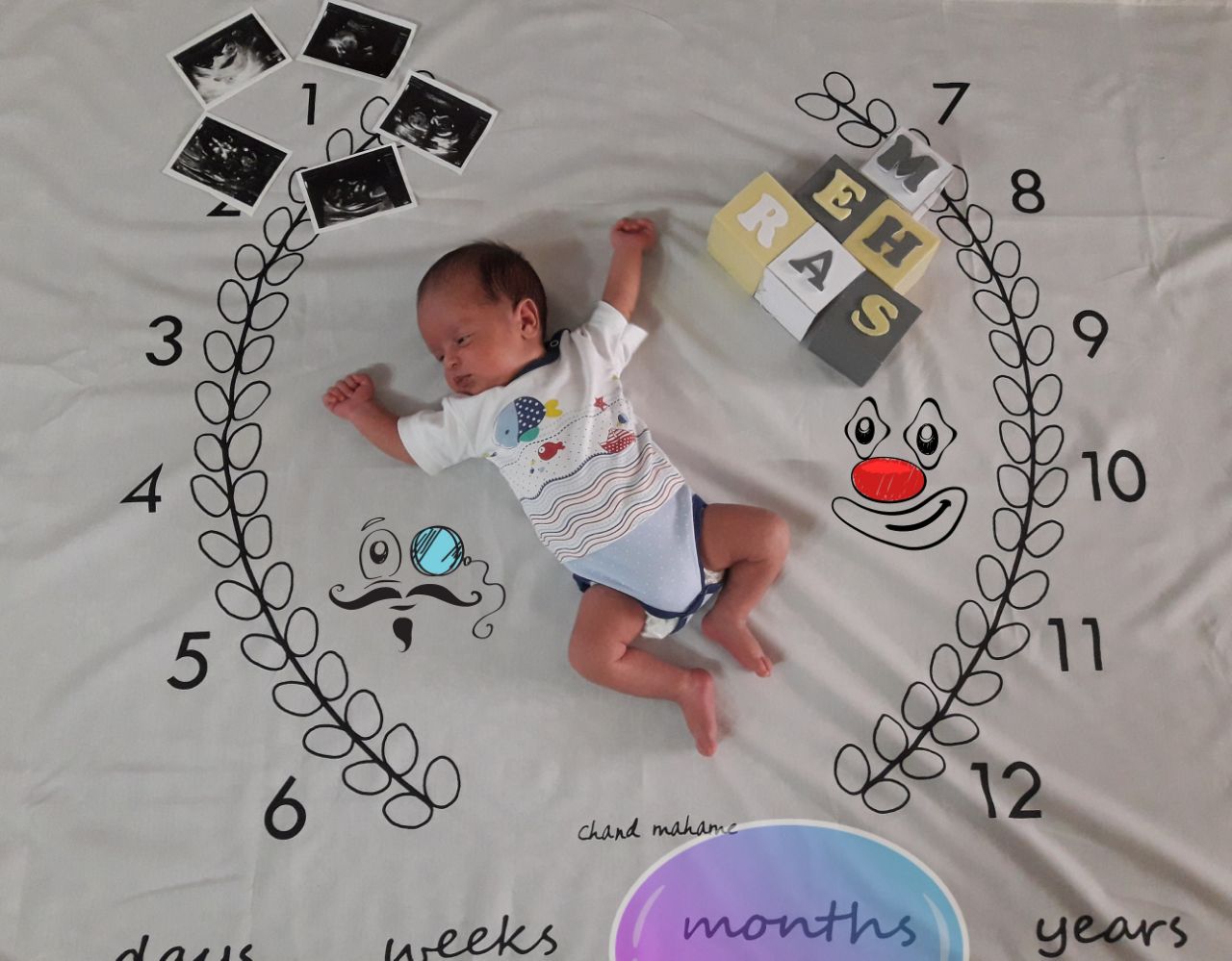 حلقه تزیینی برگ زیتون هیراد پورعسگری