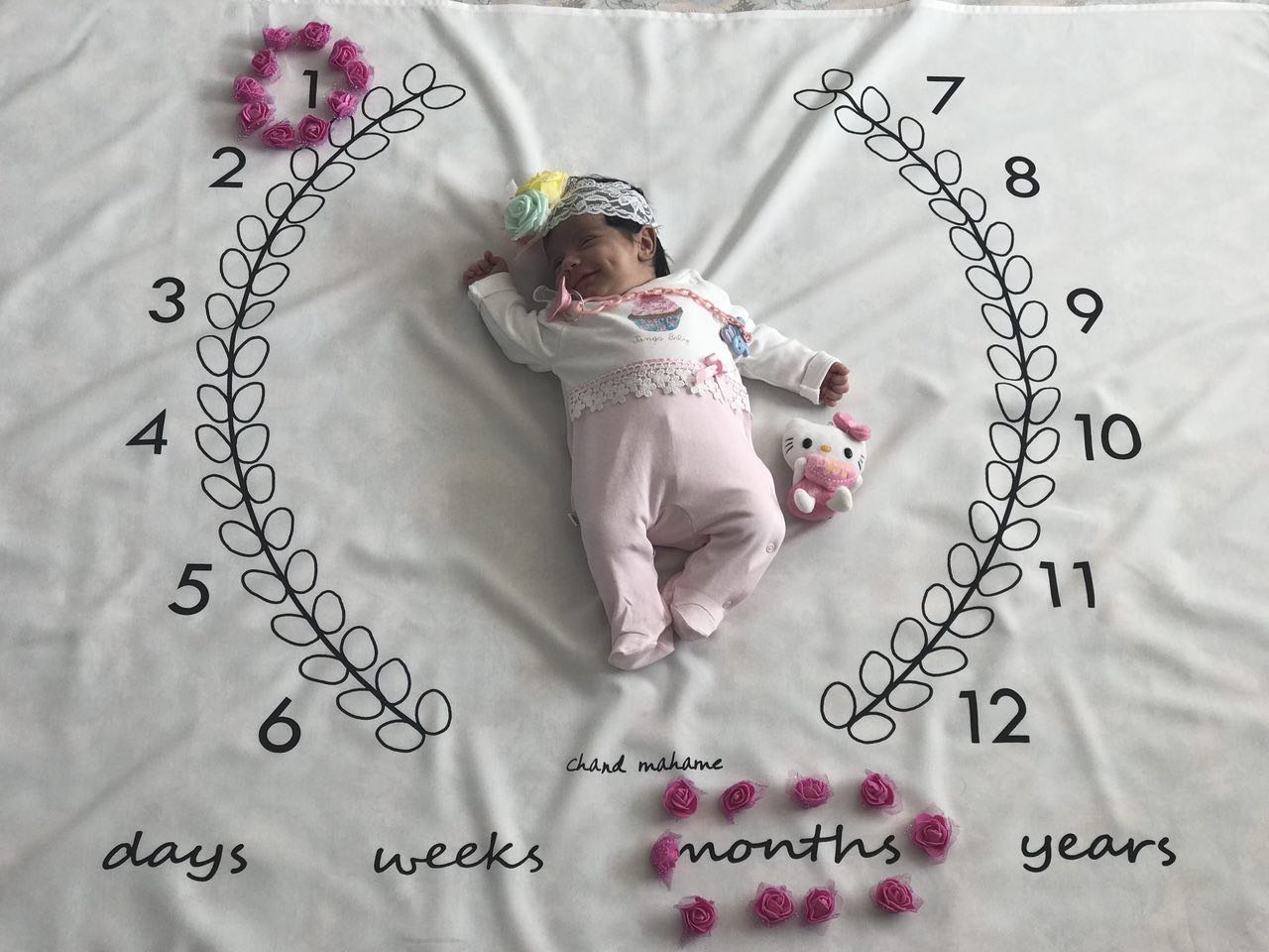 پارچه ماه شمار طرح شاخه زیتون هیراد پورعسگری