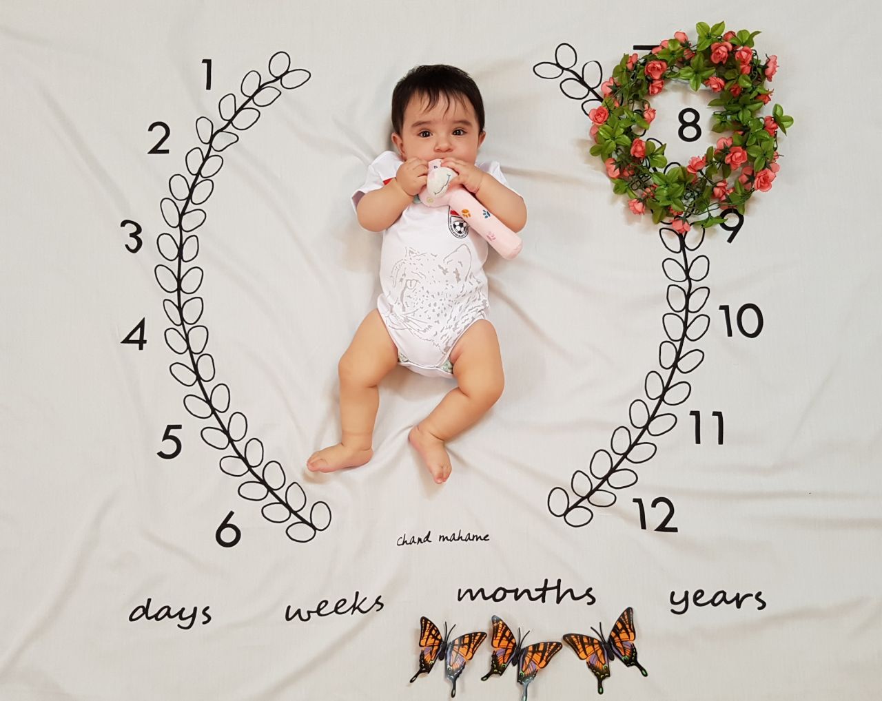 هشت ماهگی نوزاد هیراد پورعسگری