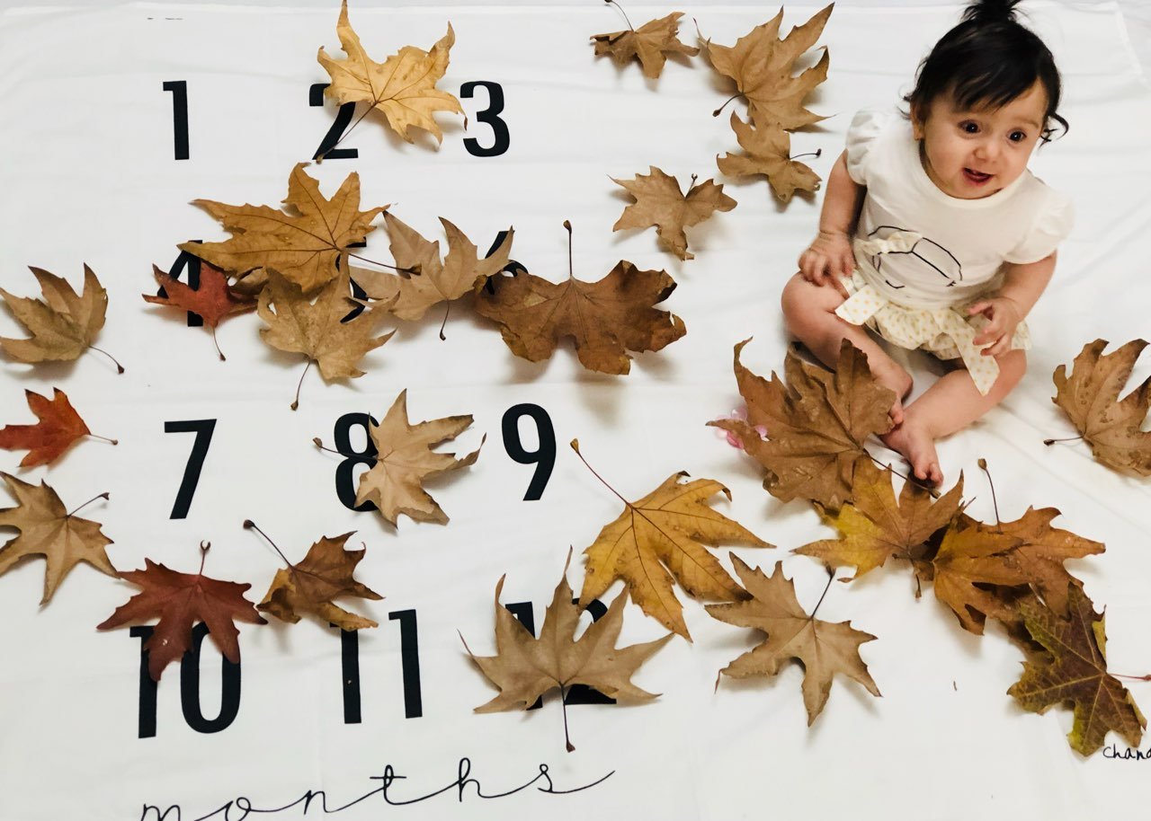 تم عکس پاییزی نوزاد هیراد پورعسگری