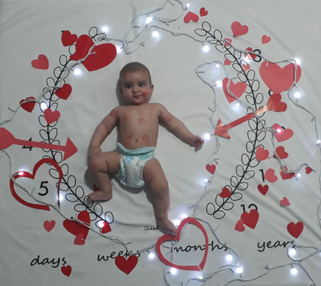 پارچه ماه شمار طرح شاخه زیتون هیراد پورعسگری