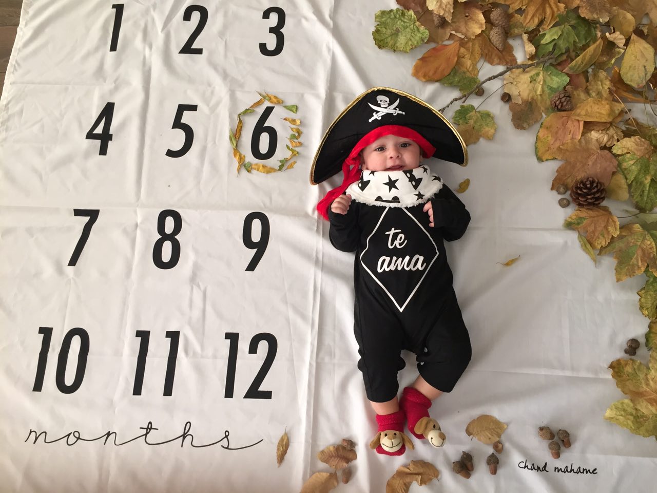 شش ماهگی نوزاد هیراد پورعسگری