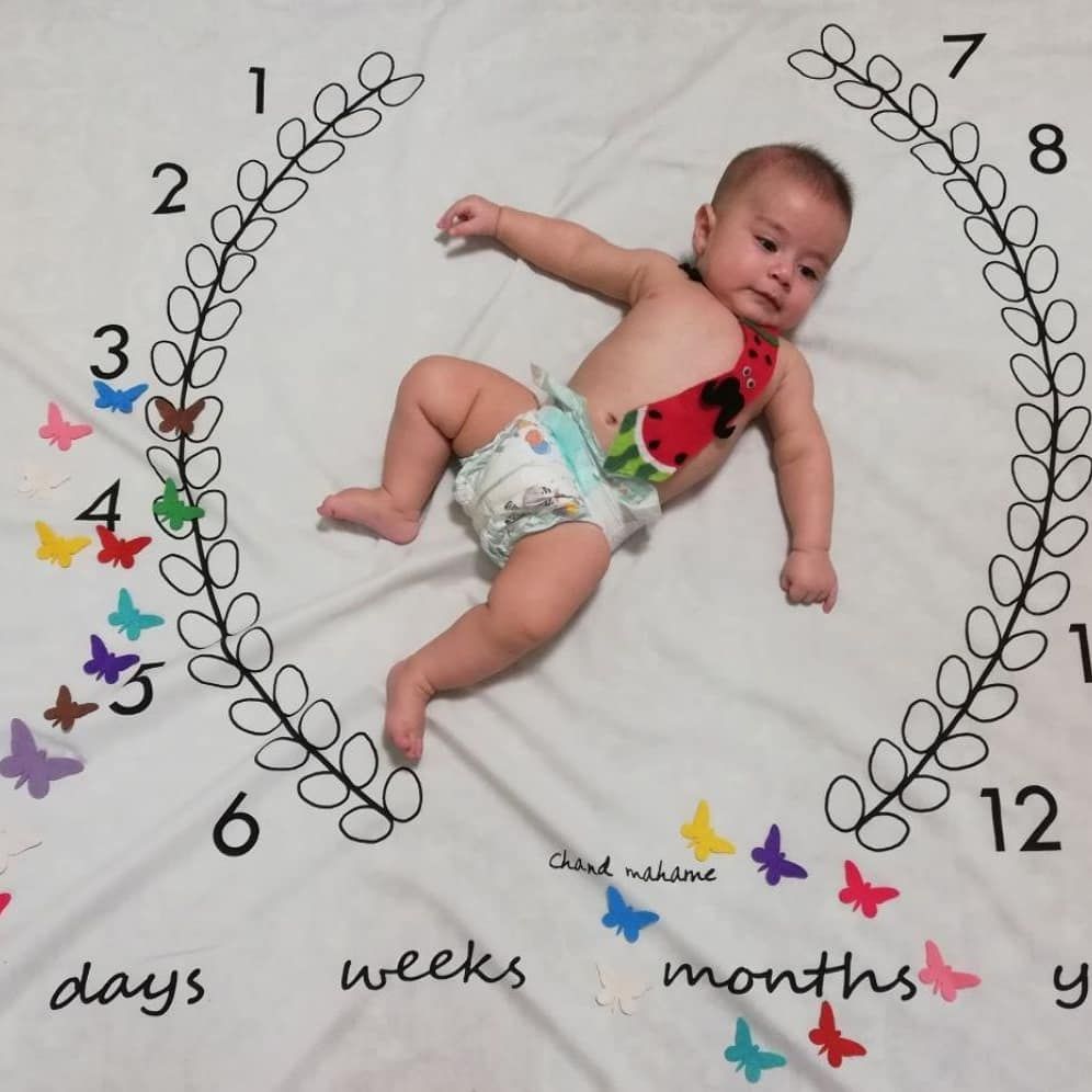 تم-و-تزیینات-نمدی-214