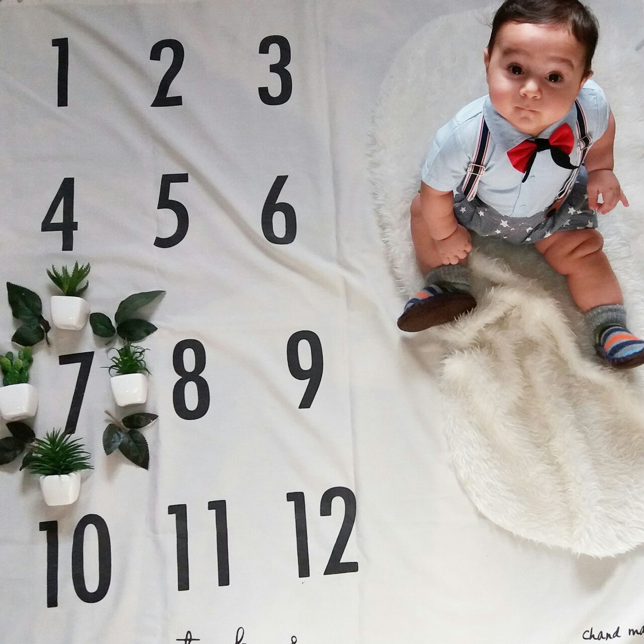 عکس مجلسی کودک هیراد پورعسگری