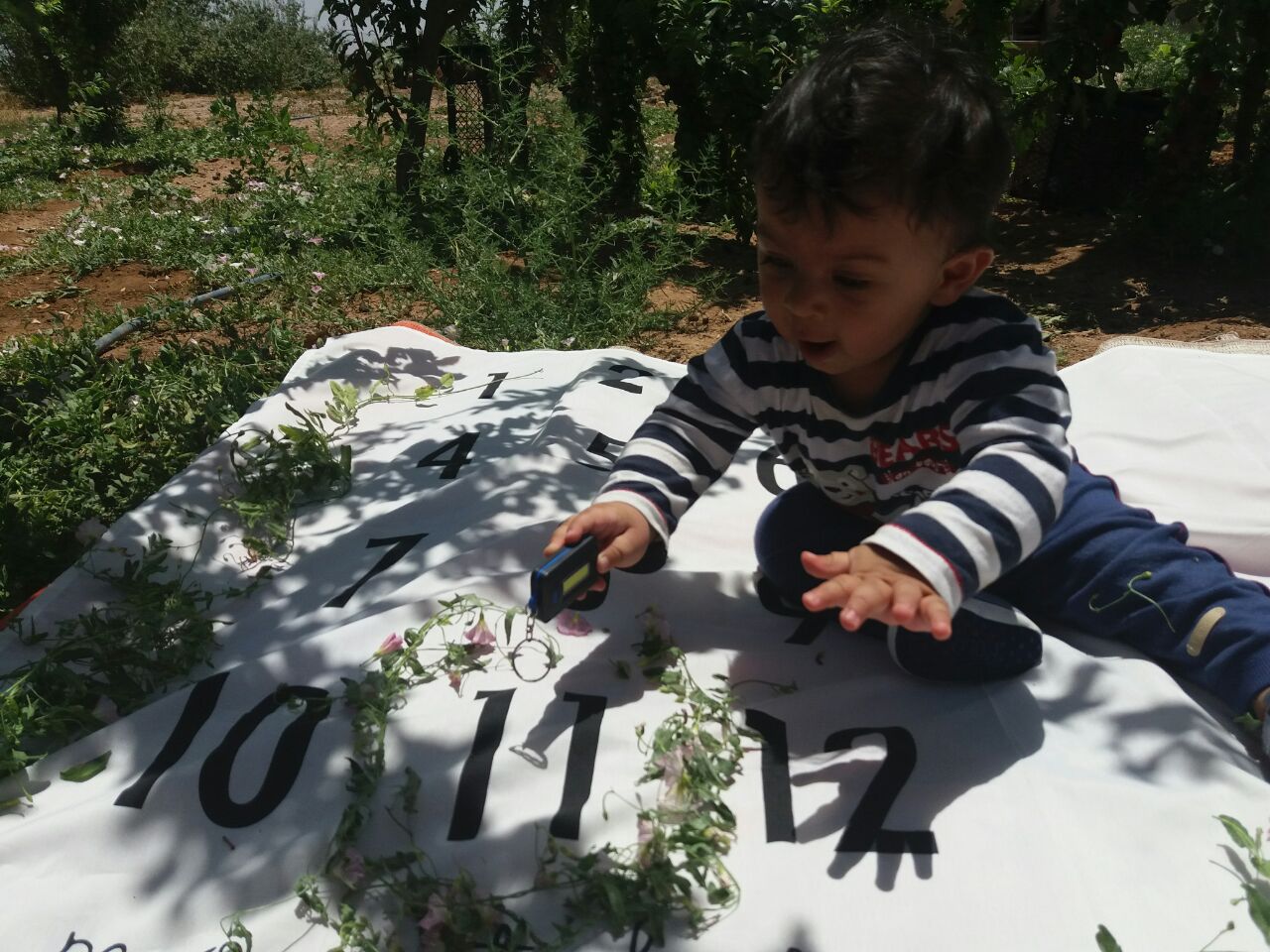 یازده ماهگی نوزاد هیراد پورعسگری