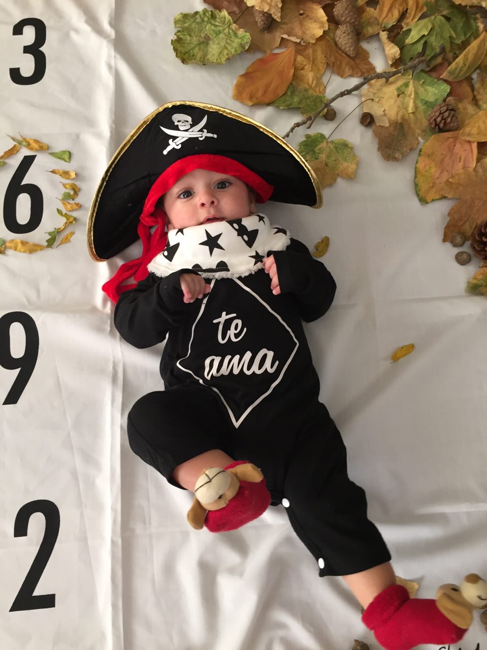 تم عکس پاییزی نوزاد هیراد پورعسگری