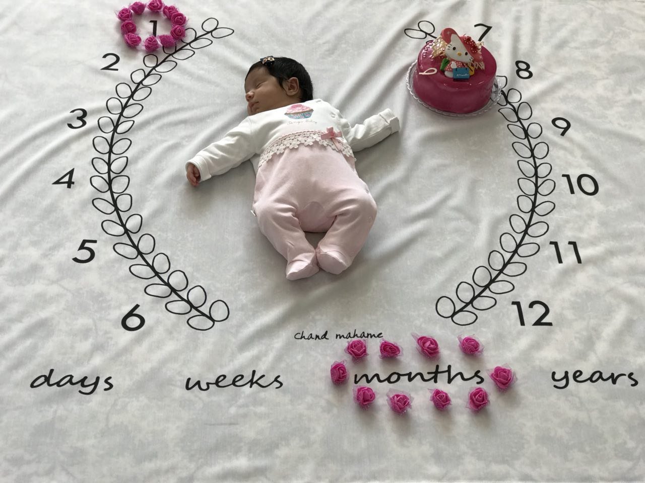 پارچه ماه شمار طرح شاخه زیتون هیراد پورعسگری