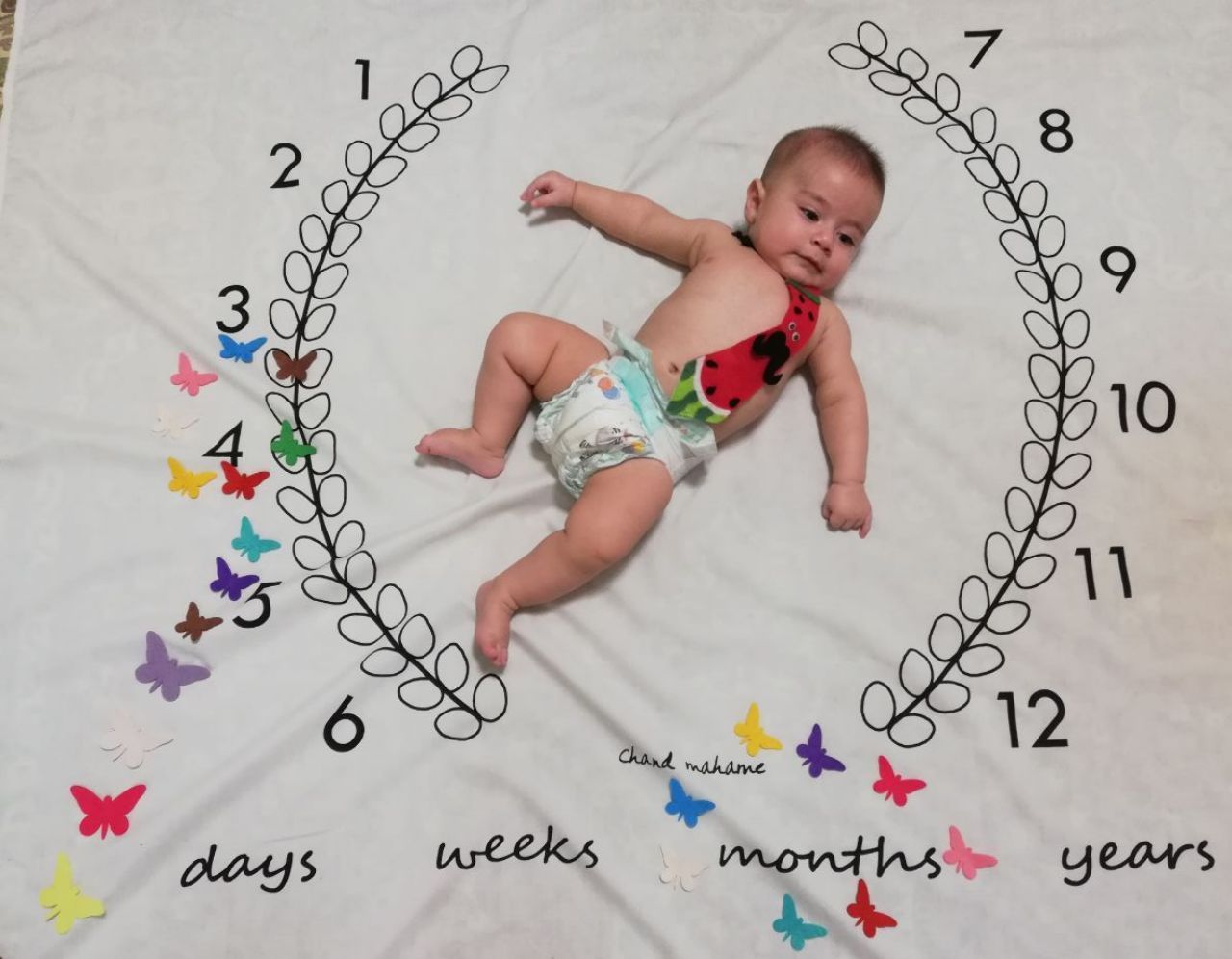 تم-و-تزیینات-نمدی-275