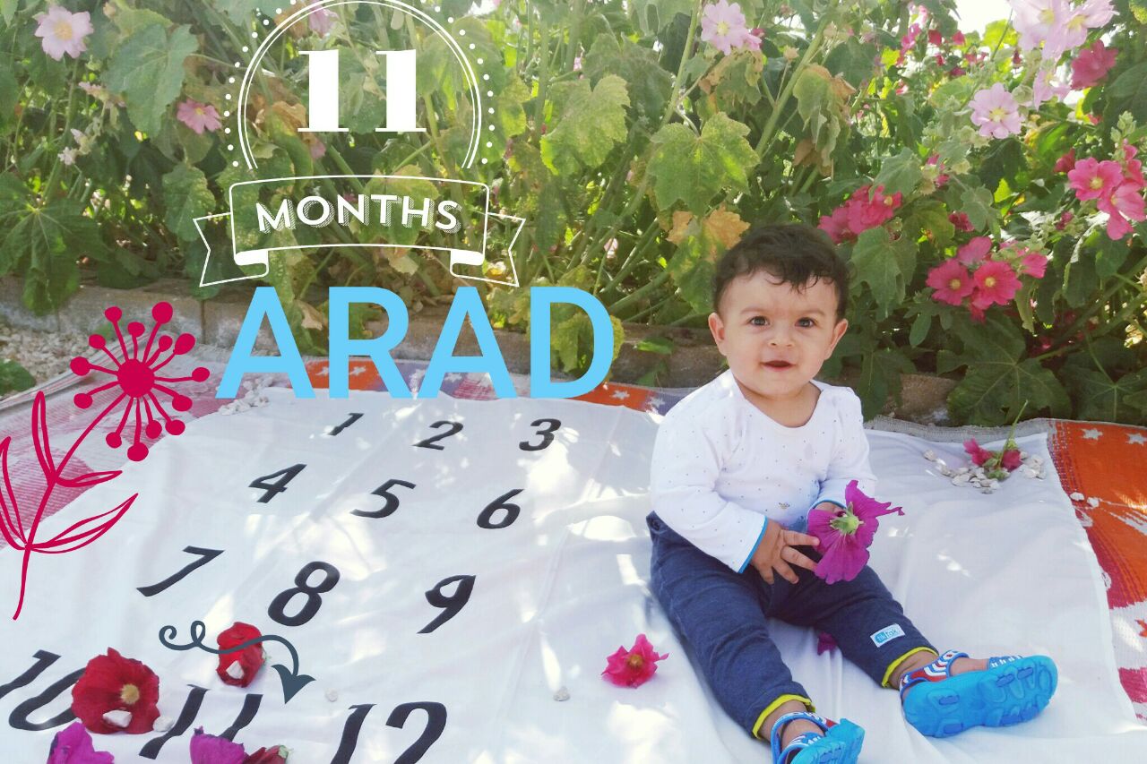 تم عکس بهاری کودک هیراد پورعسگری