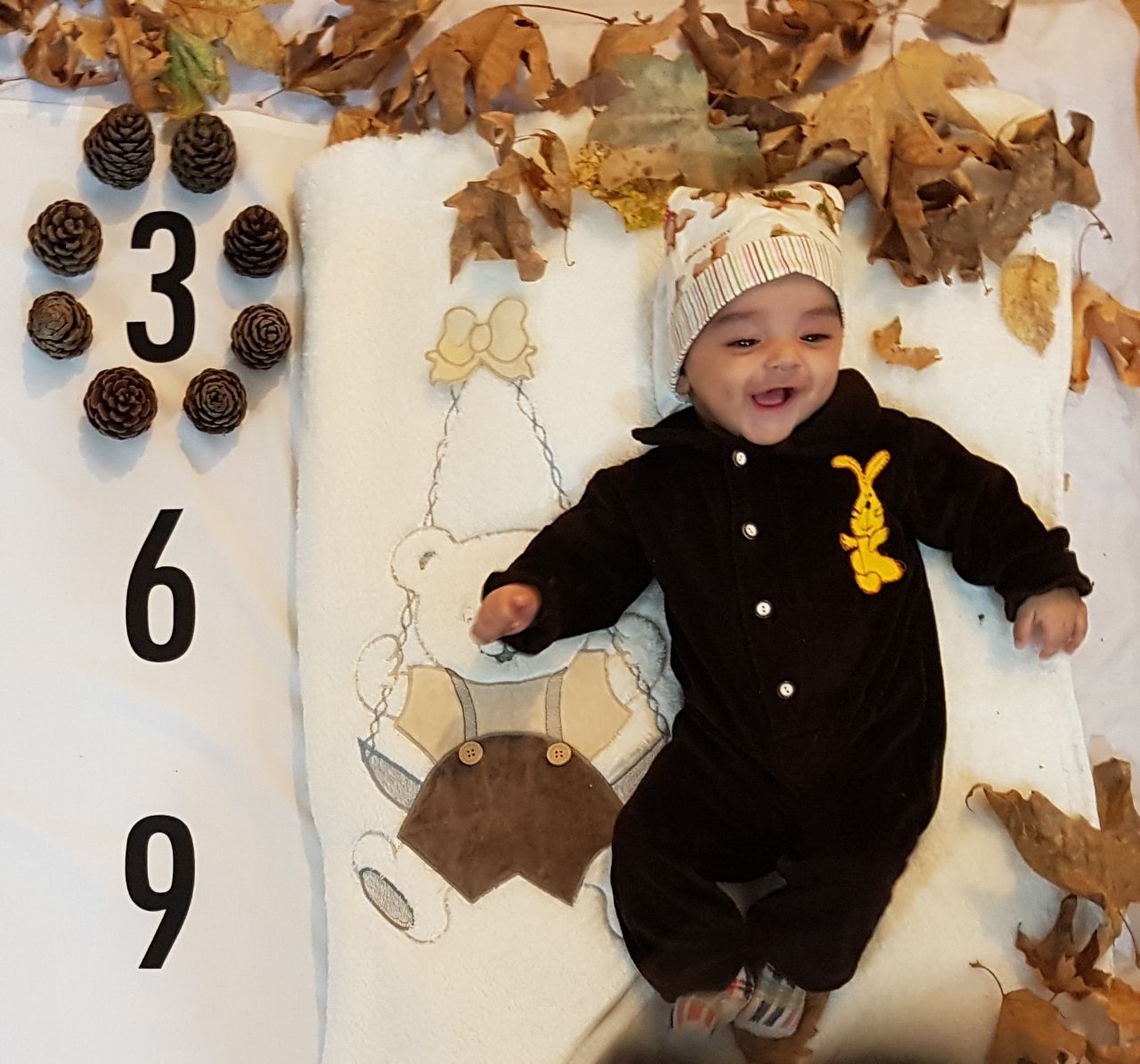 تم عکس پاییزی نوزاد هیراد پورعسگری