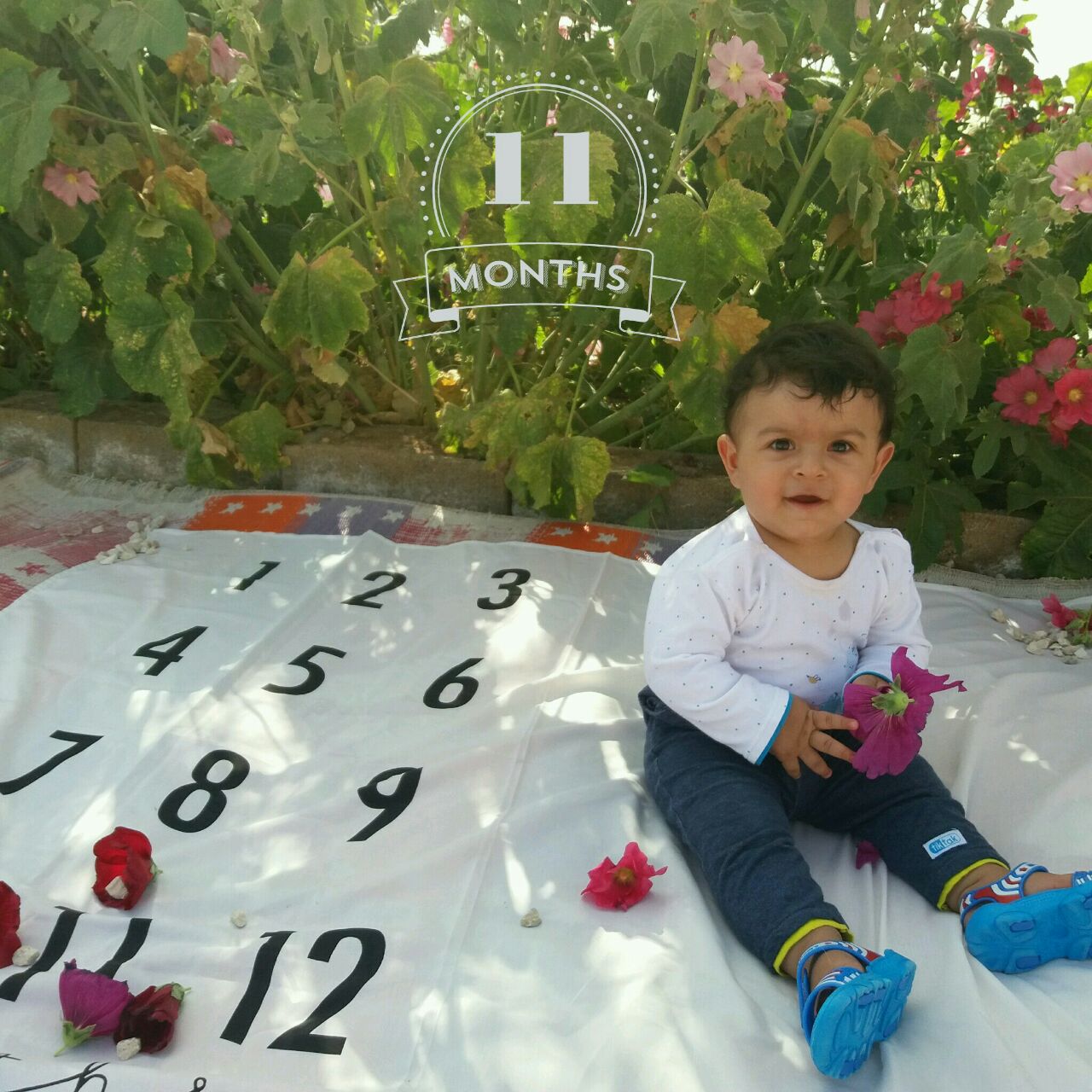 تم عکس بهاری کودک هیراد پورعسگری