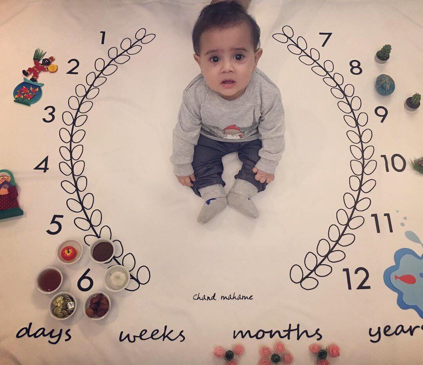 پارچه ماه شمار طرح شاخه زیتون هیراد پورعسگری