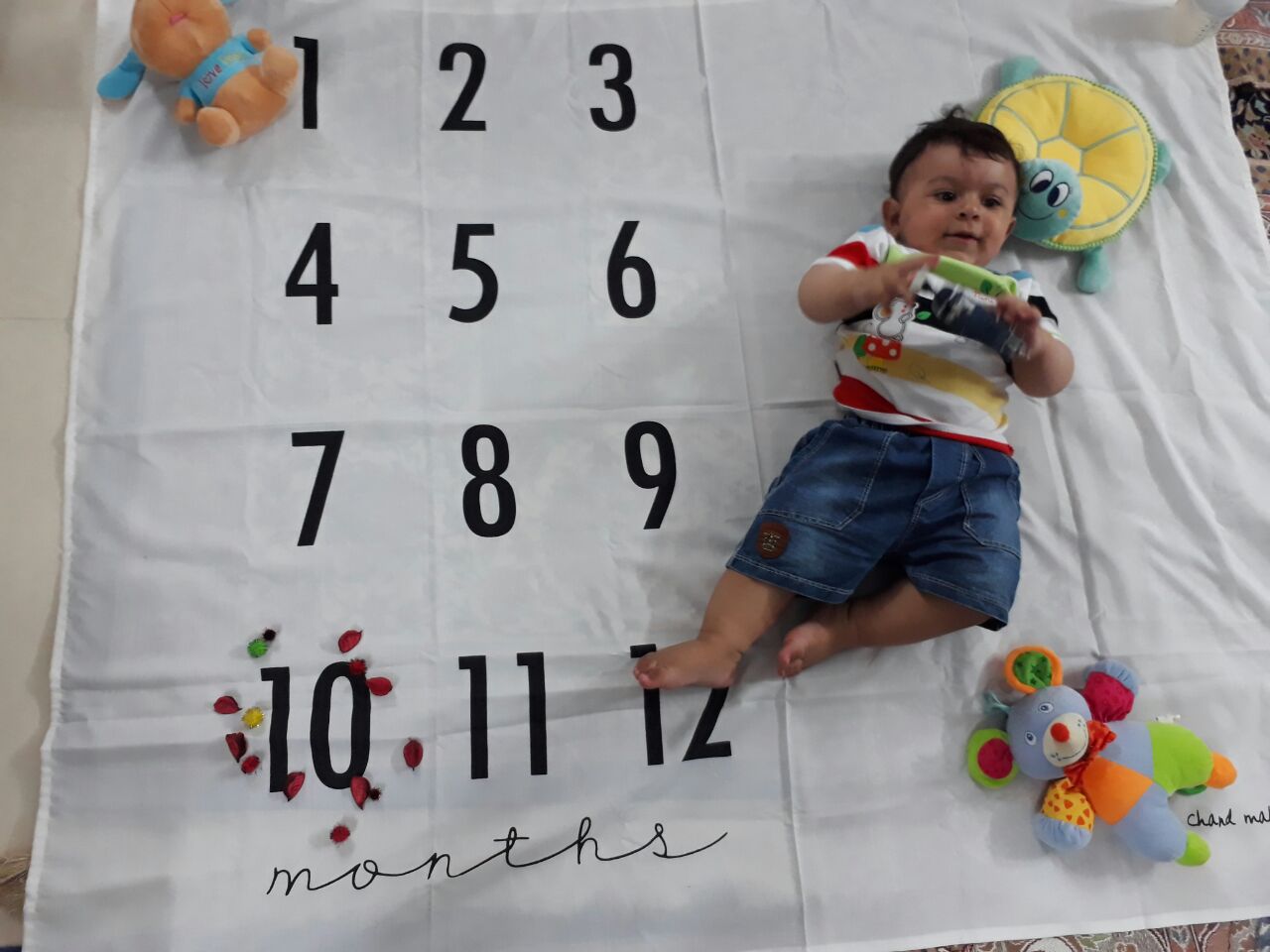 ده ماهگی نوزاد هیراد پورعسگری