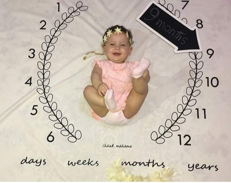 پارچه ماه شمار طرح شاخه زیتون هیراد پورعسگری