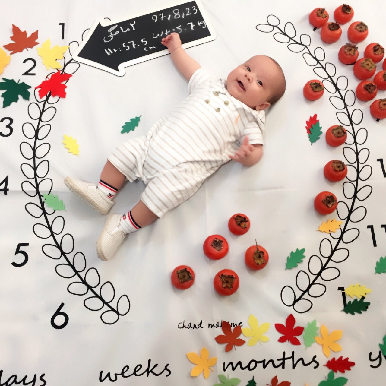 تخته-سیاه-مدل-فلش-536