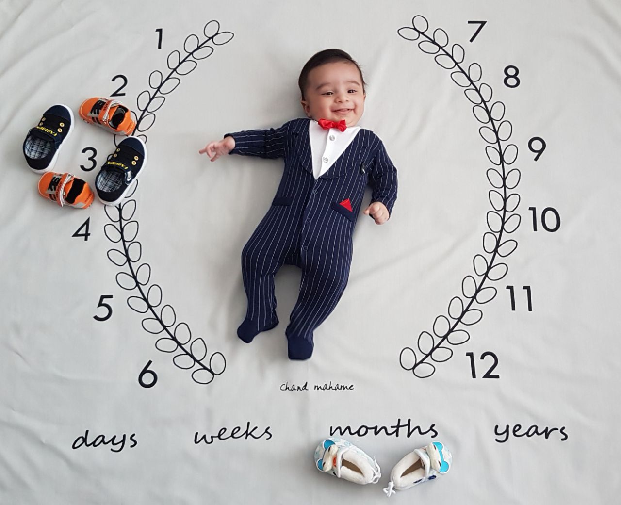 پارچه ماه شمار طرح شاخه زیتون هیراد پورعسگری