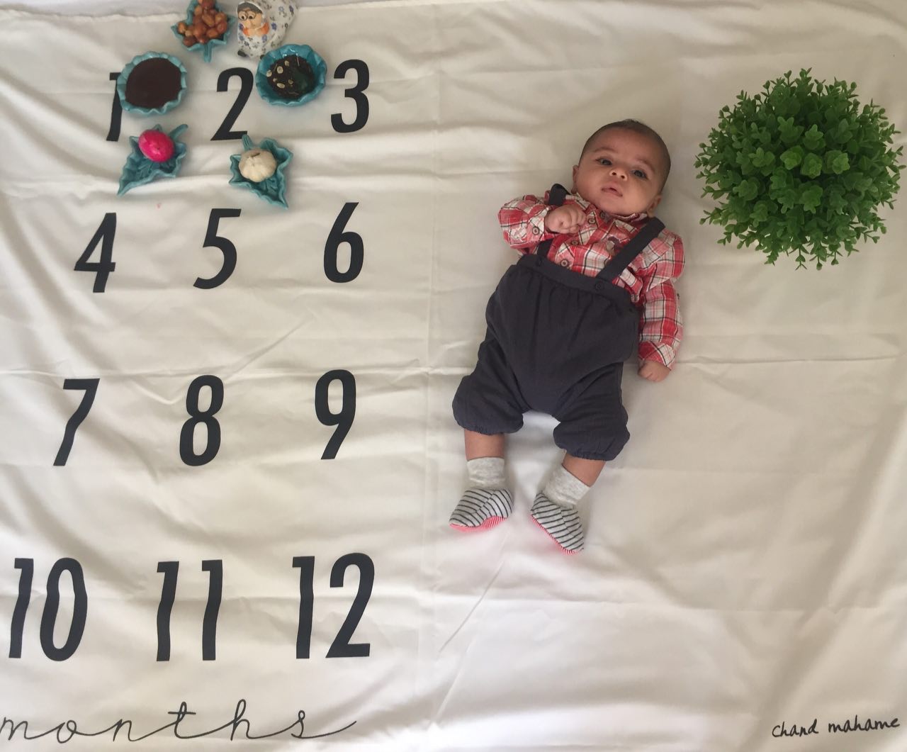 عید نوروز هیراد پورعسگری