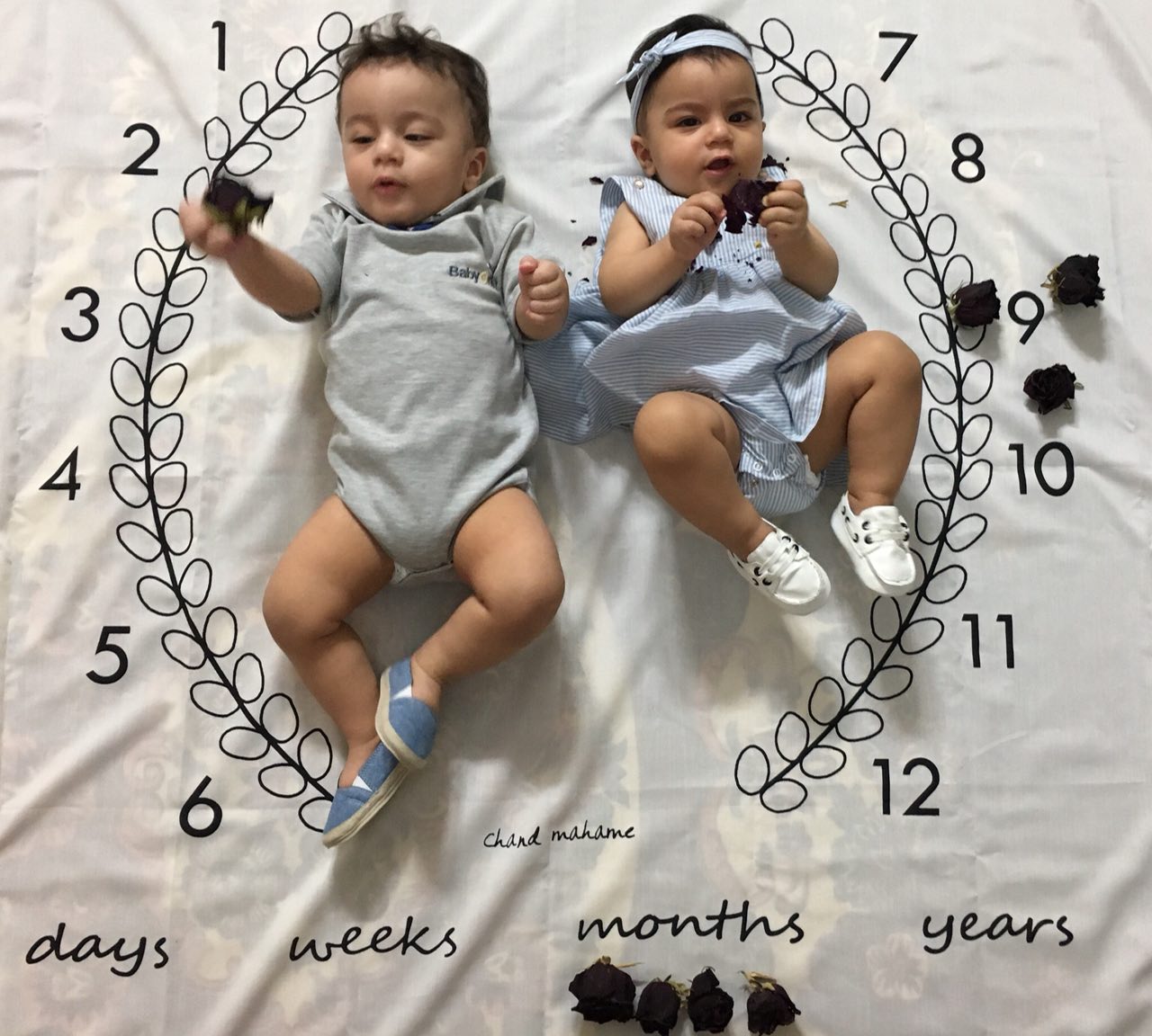 عکس نوزادان دوقلو هیراد پورعسگری