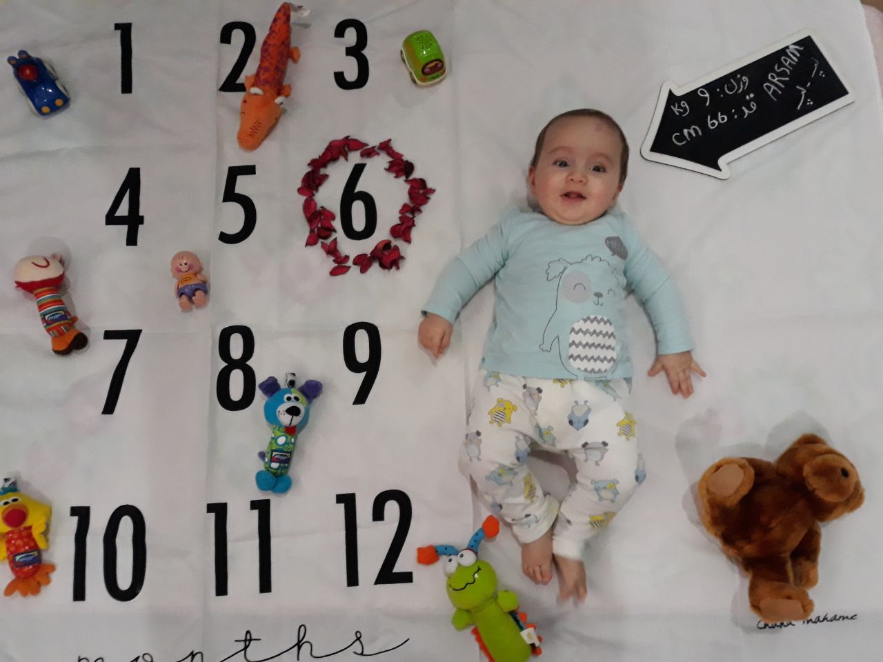 تخته سیاه گچی مدل فلش هیراد پورعسگری