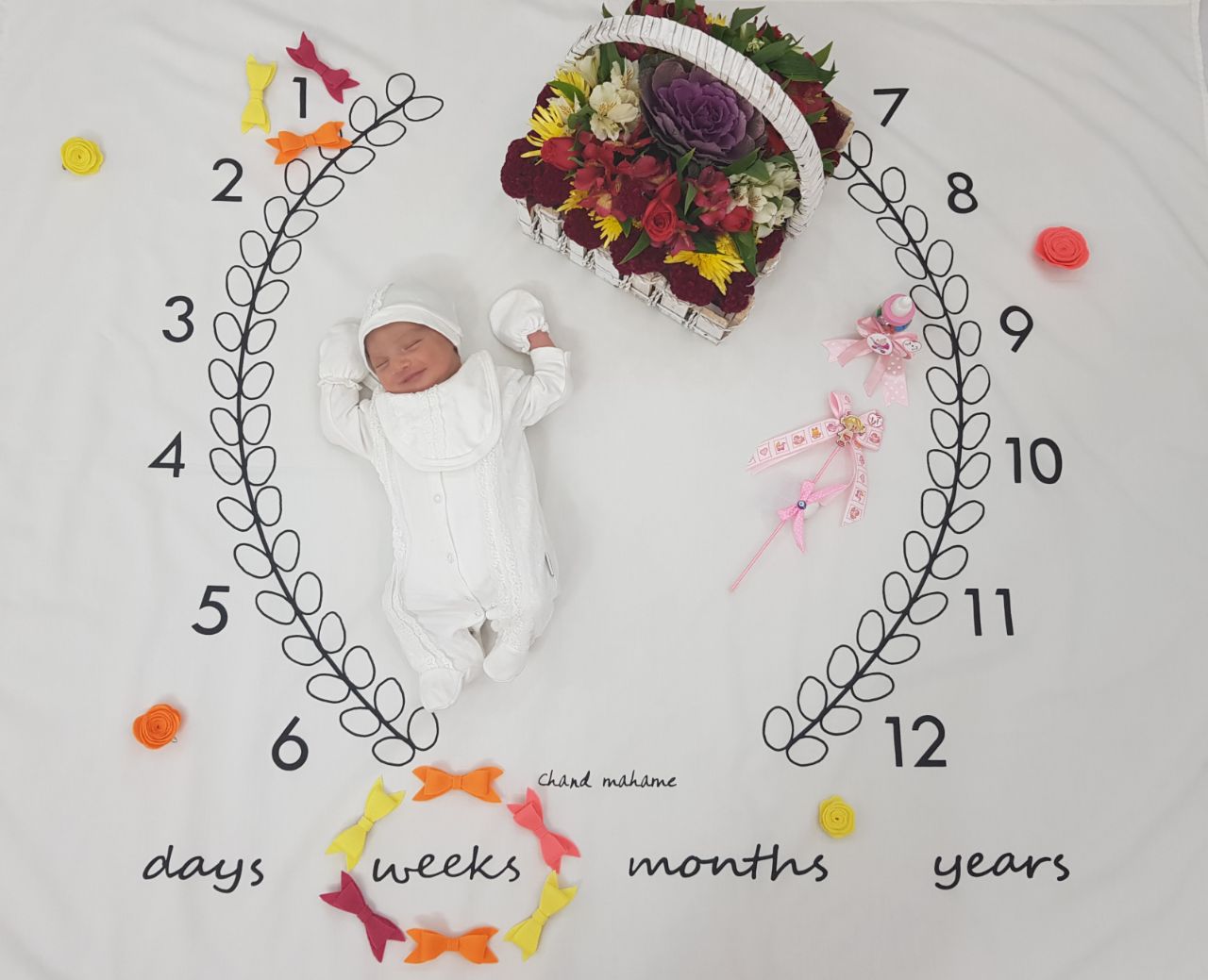 پارچه ماه شمار طرح شاخه زیتون هیراد پورعسگری