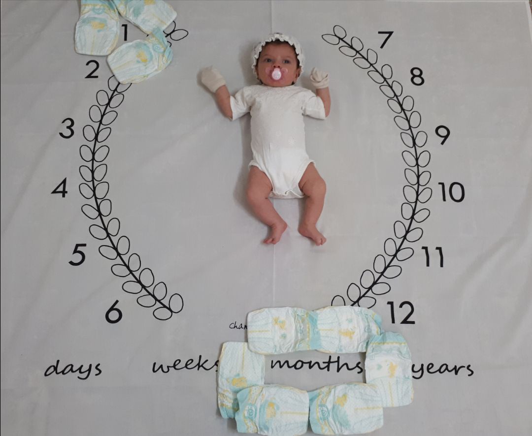 پارچه ماه شمار طرح شاخه زیتون هیراد پورعسگری