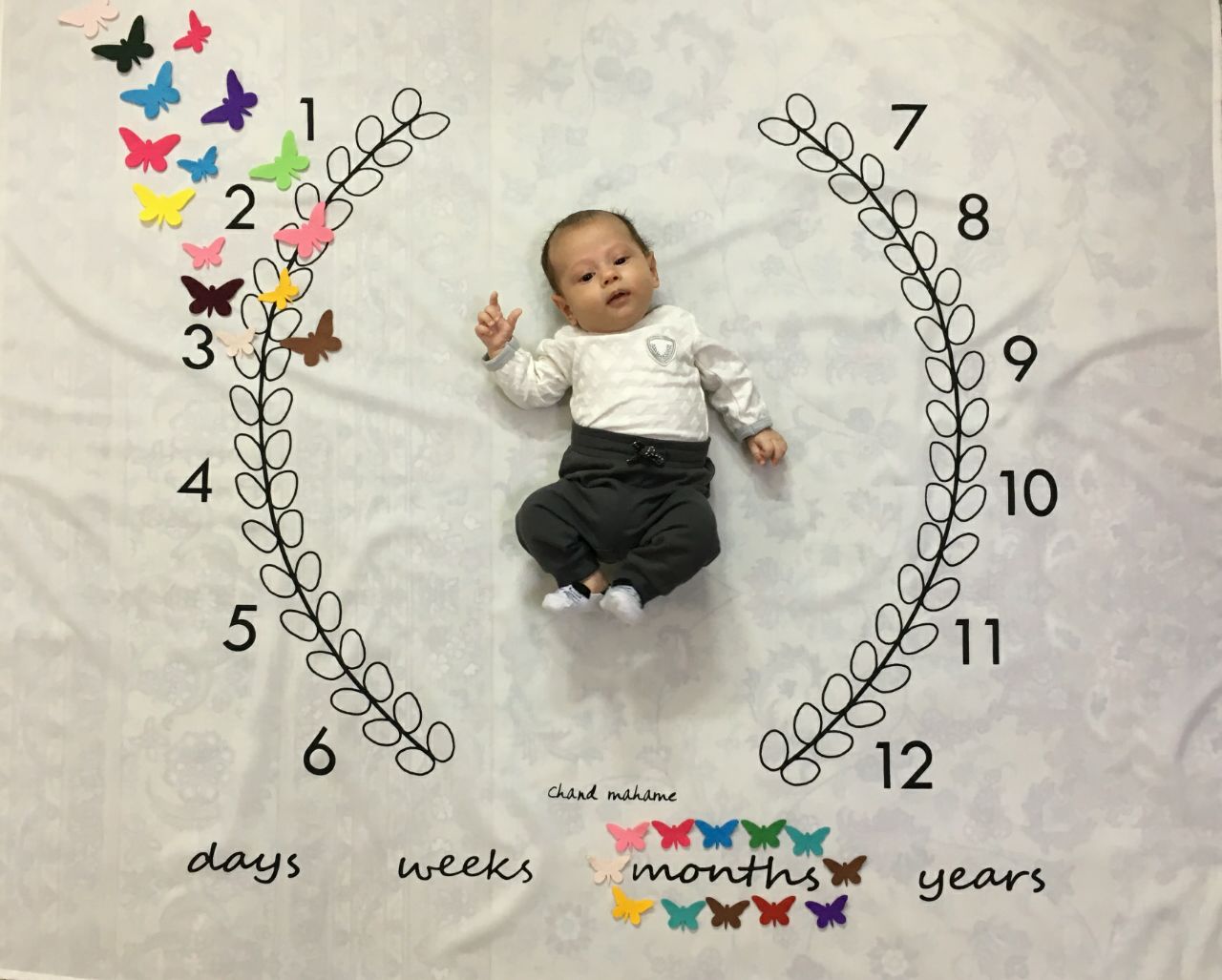 تم-و-تزیینات-نمدی-701