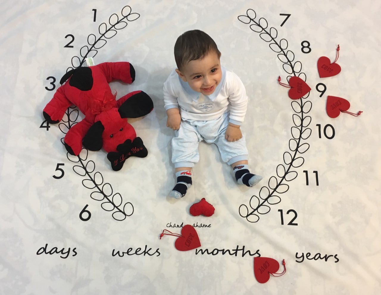 پارچه ماه شمار طرح شاخه زیتون هیراد پورعسگری